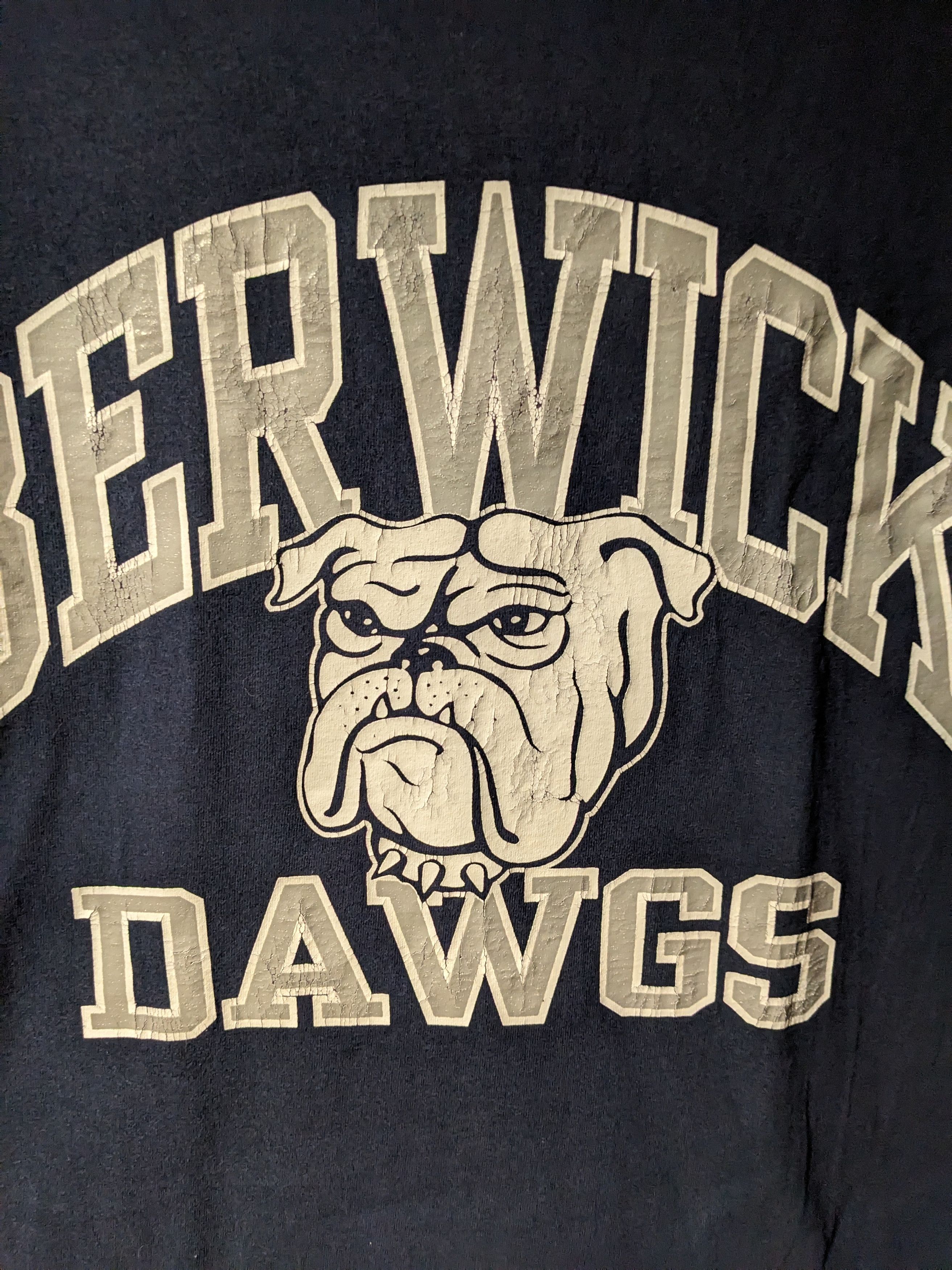 Other Vintage 90s Berwick Dawgs High School Pennsylvania T-Shirt Size US L / EU 52-54 / 3 - 2 Thumbnail