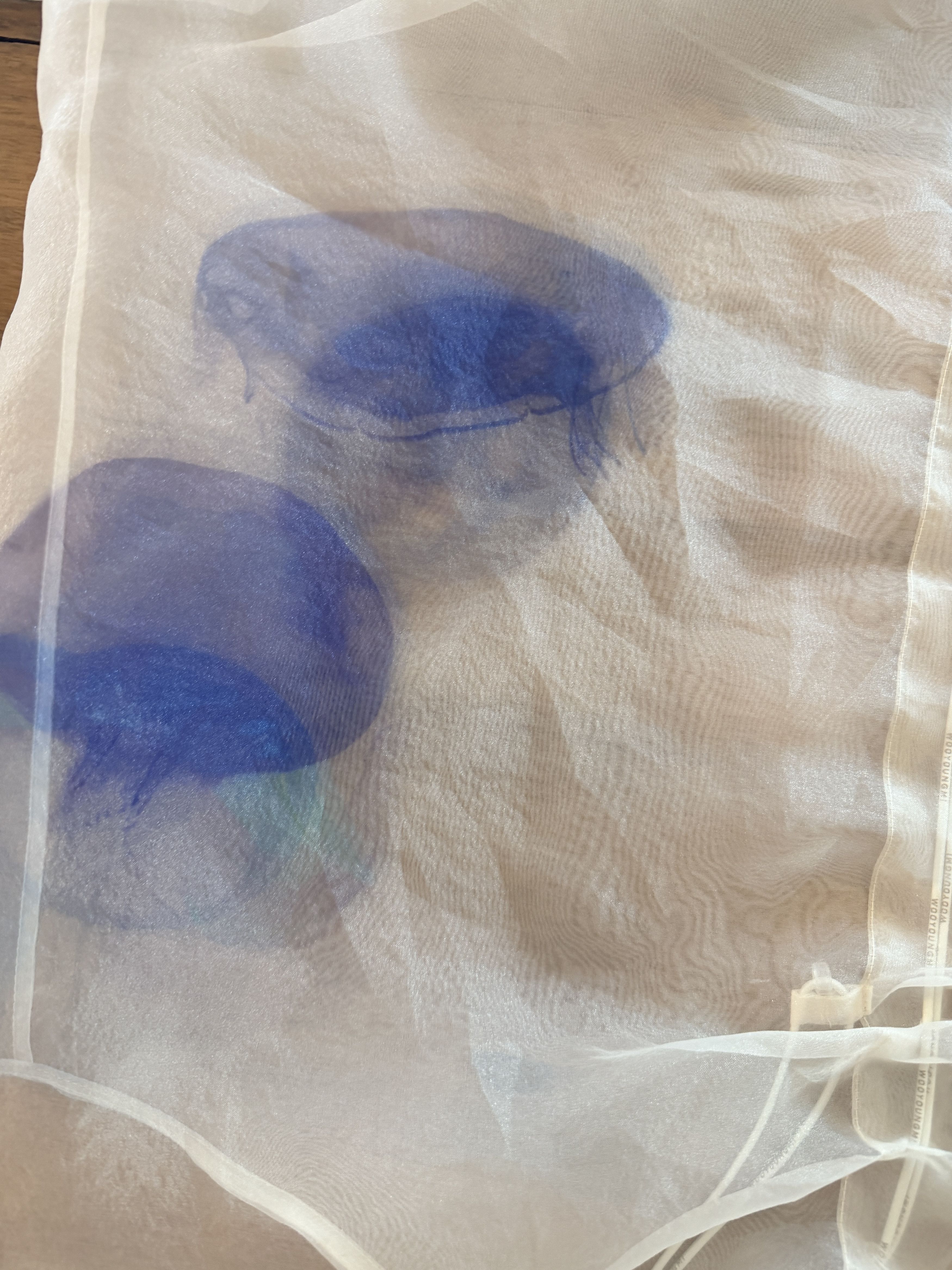 Wooyoungmi Wooyoungmi Off-White Sheer Jellyfish Print Size US L / EU 52-54 / 3 - 3 Thumbnail