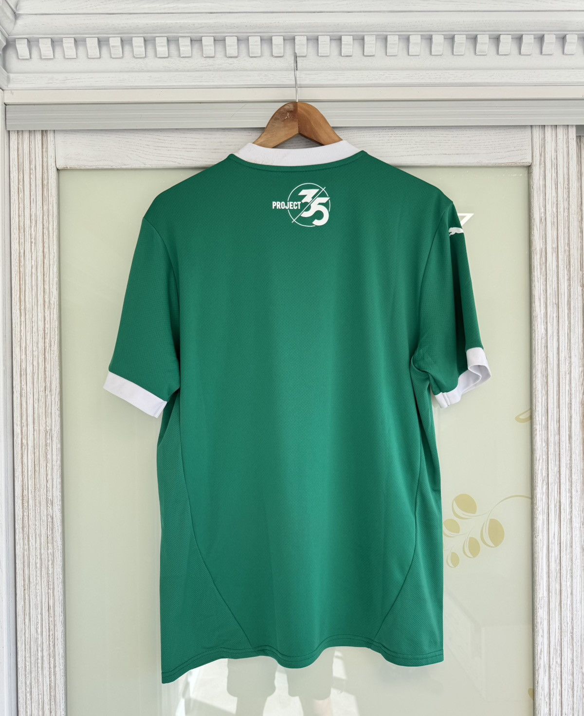 Puma Plymouth 2024-2025 Home Soccer Jersey Football Kit Shirt Size US L / EU 52-54 / 3 - 2 Thumbnail