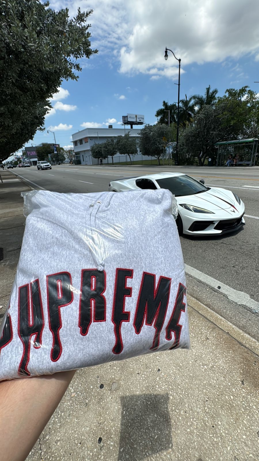 Supreme Supreme Ghostface Hoodie Ash Gray SS26SW Size US L / EU 52-54 / 3 - 2 Thumbnail