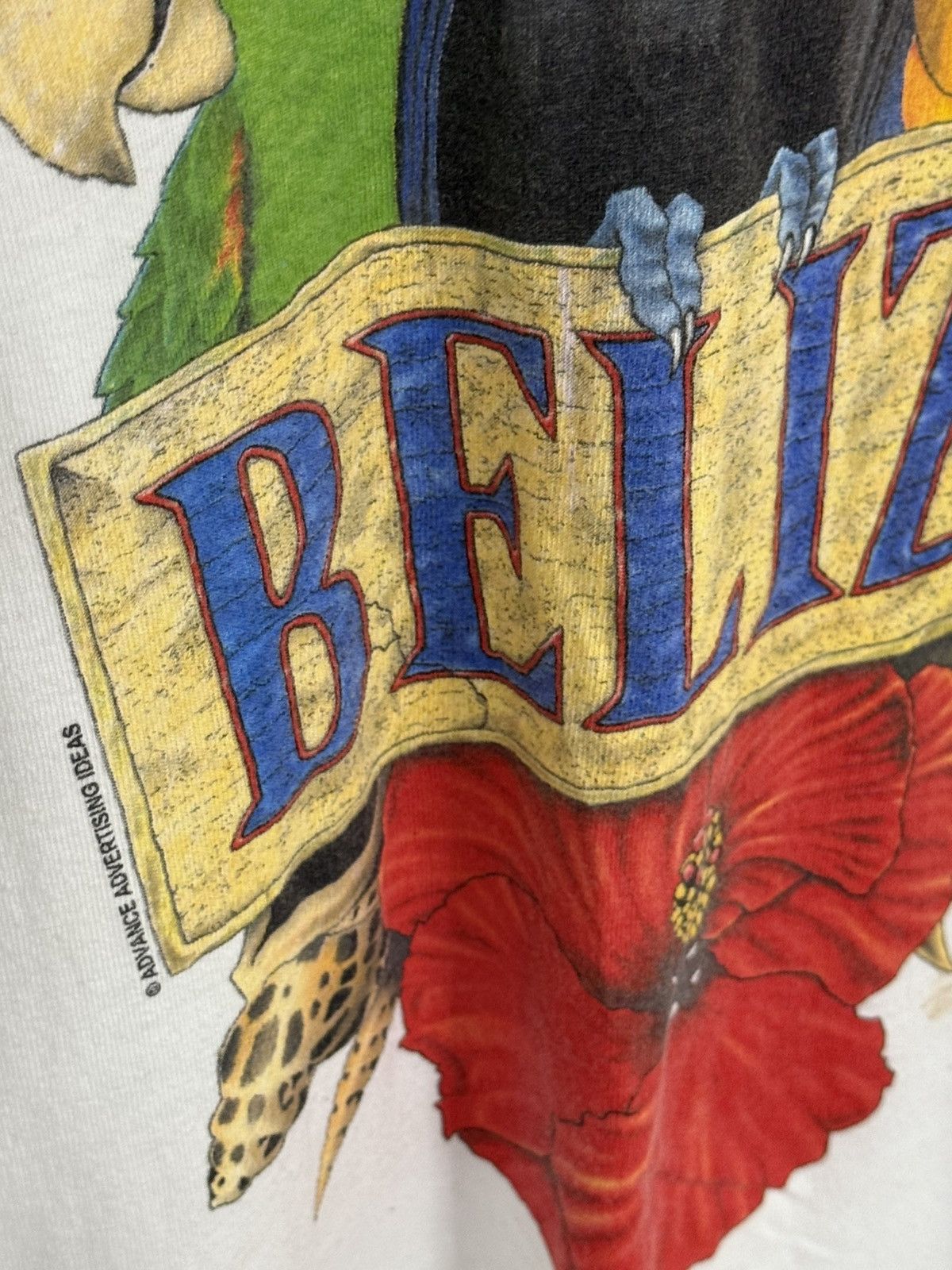Vintage Vintage 3XL XXXL Belize Parrots Bird Animal Tee White Size US XXL / EU 58 / 5 - 3 Thumbnail