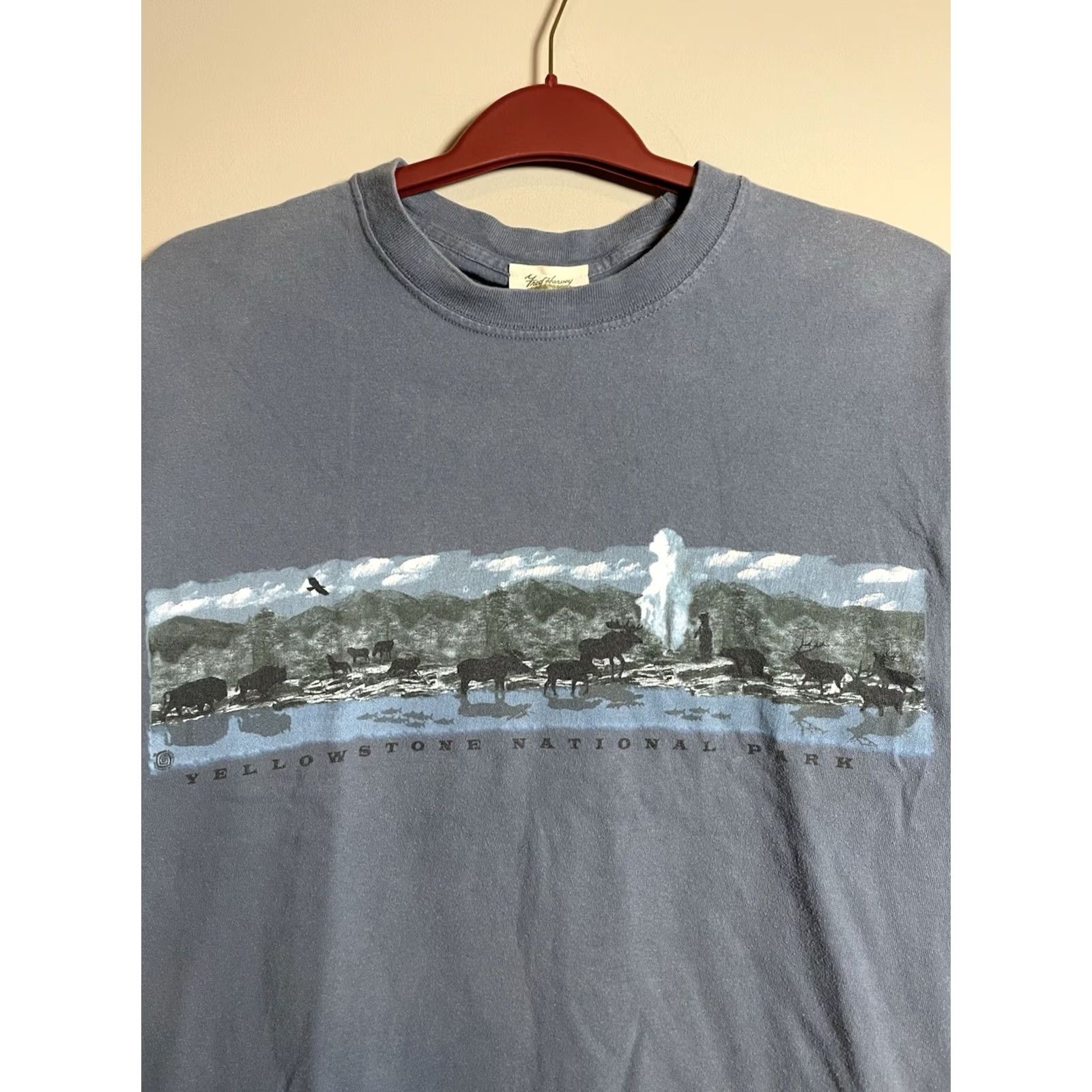 FRED Vintage Fred Harvey Trading Co Shirt Mens M Blue Yellowstone National Park (C511) 90s, Nature, USA, Grand Canyon Size US M / EU 48-50 / 2 - 2 Thumbnail