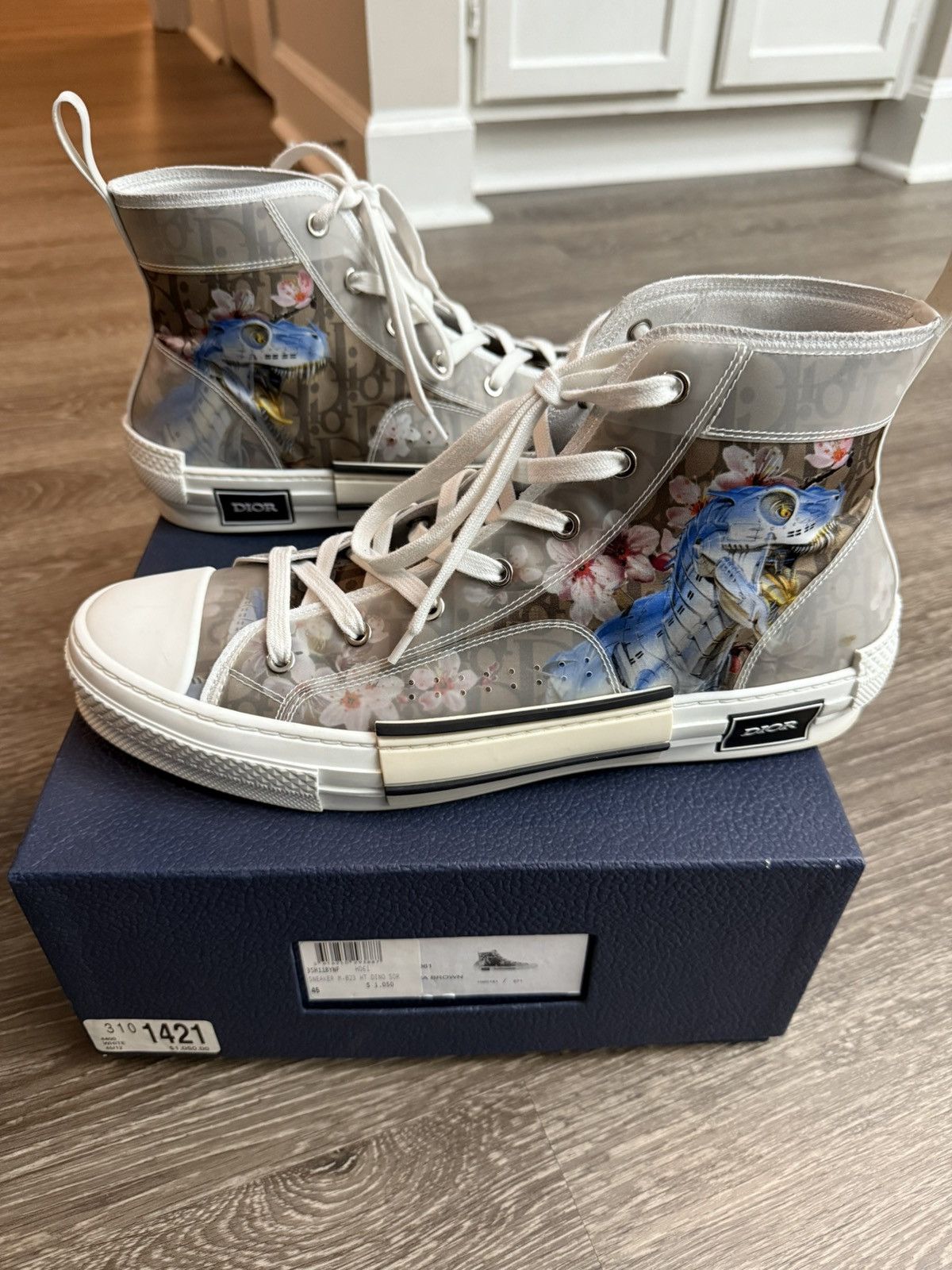 dior b23 dinosaur