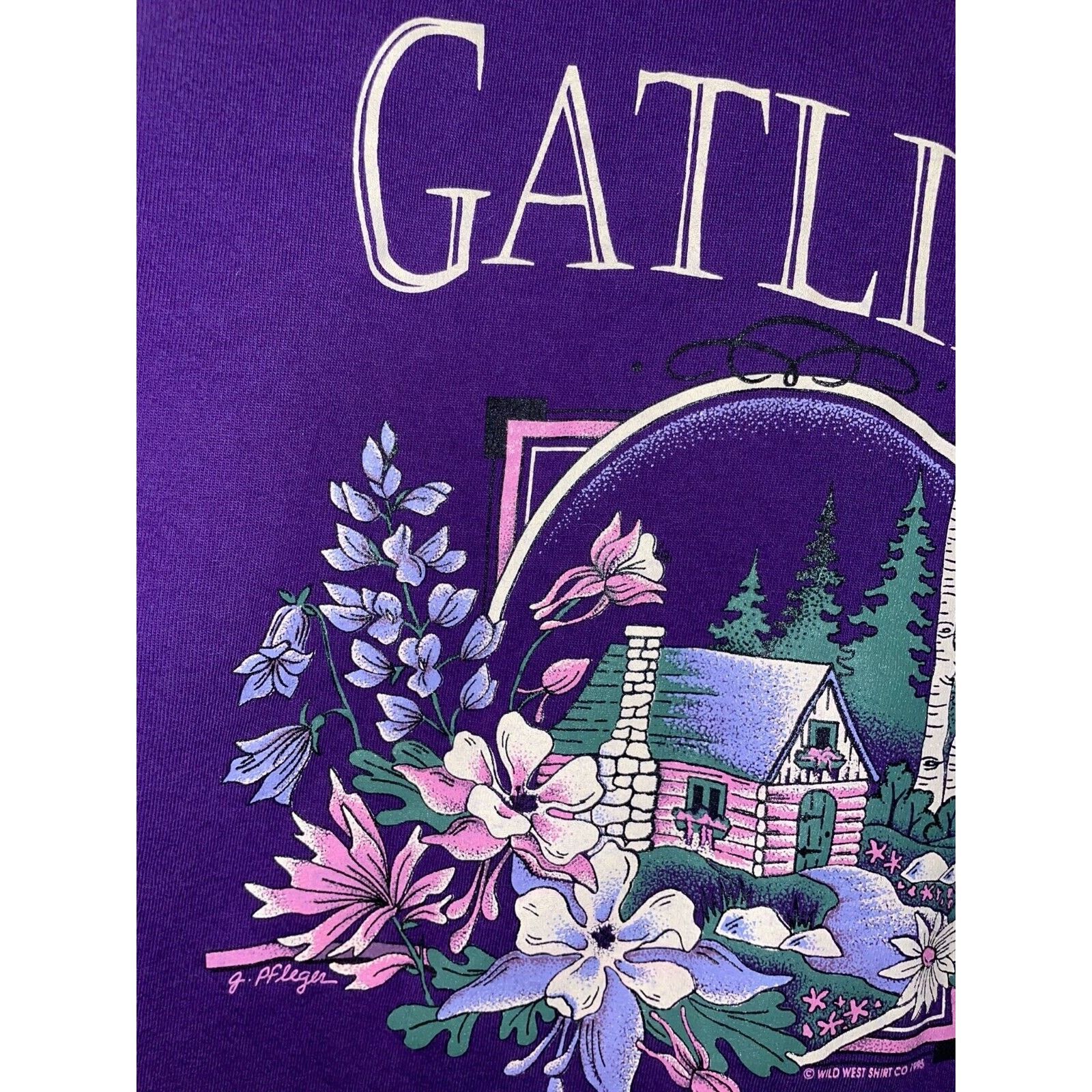 Jerzees 90s Vintage Jerzees Gatlinburg Smoky Mountains Shirt VTG L Size US L / EU 52-54 / 3 - 4 Thumbnail