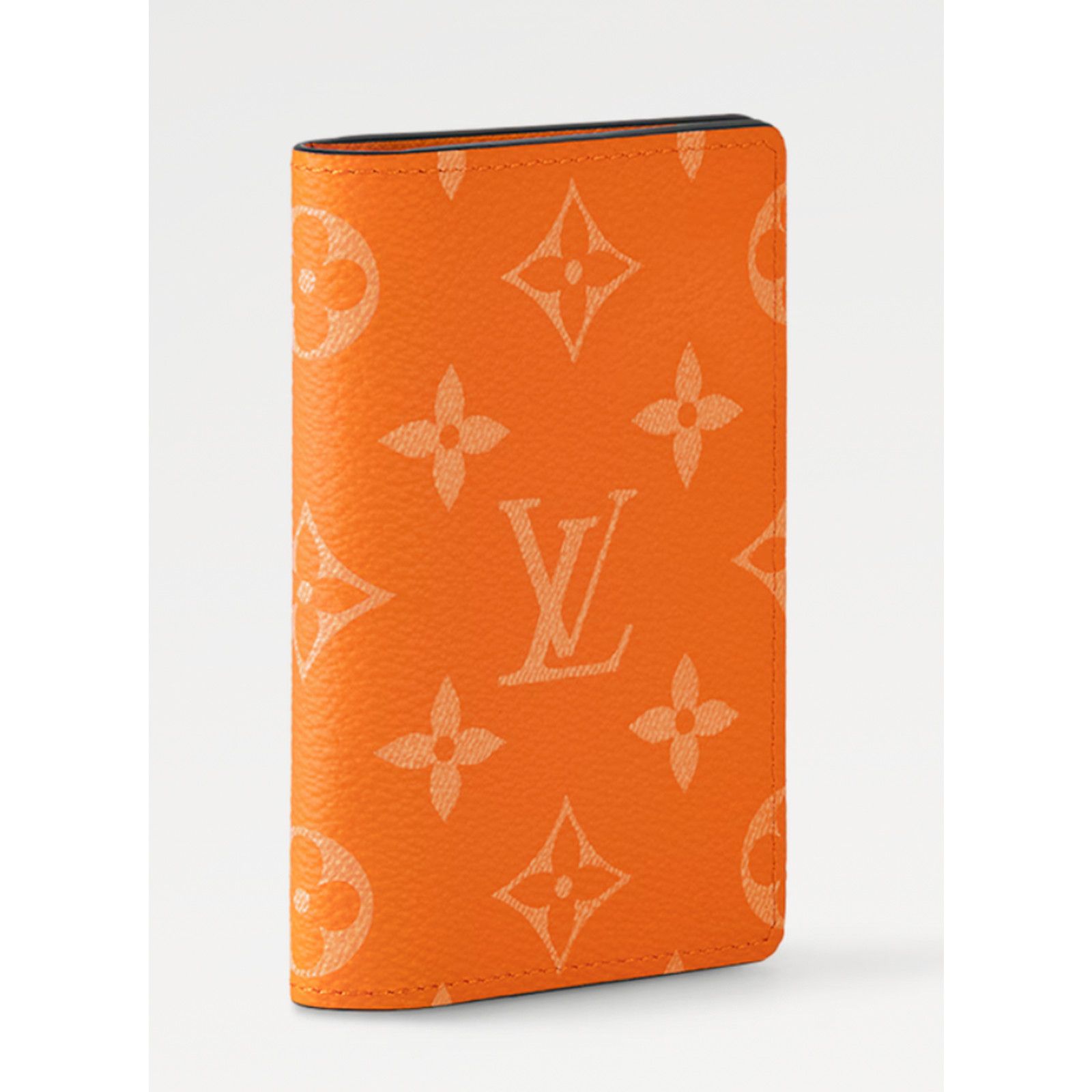 Louis Vuitton Louis Vuitton Taiga Taigarama Pocket Organizer Wallet Size ONE SIZE - 3 Thumbnail