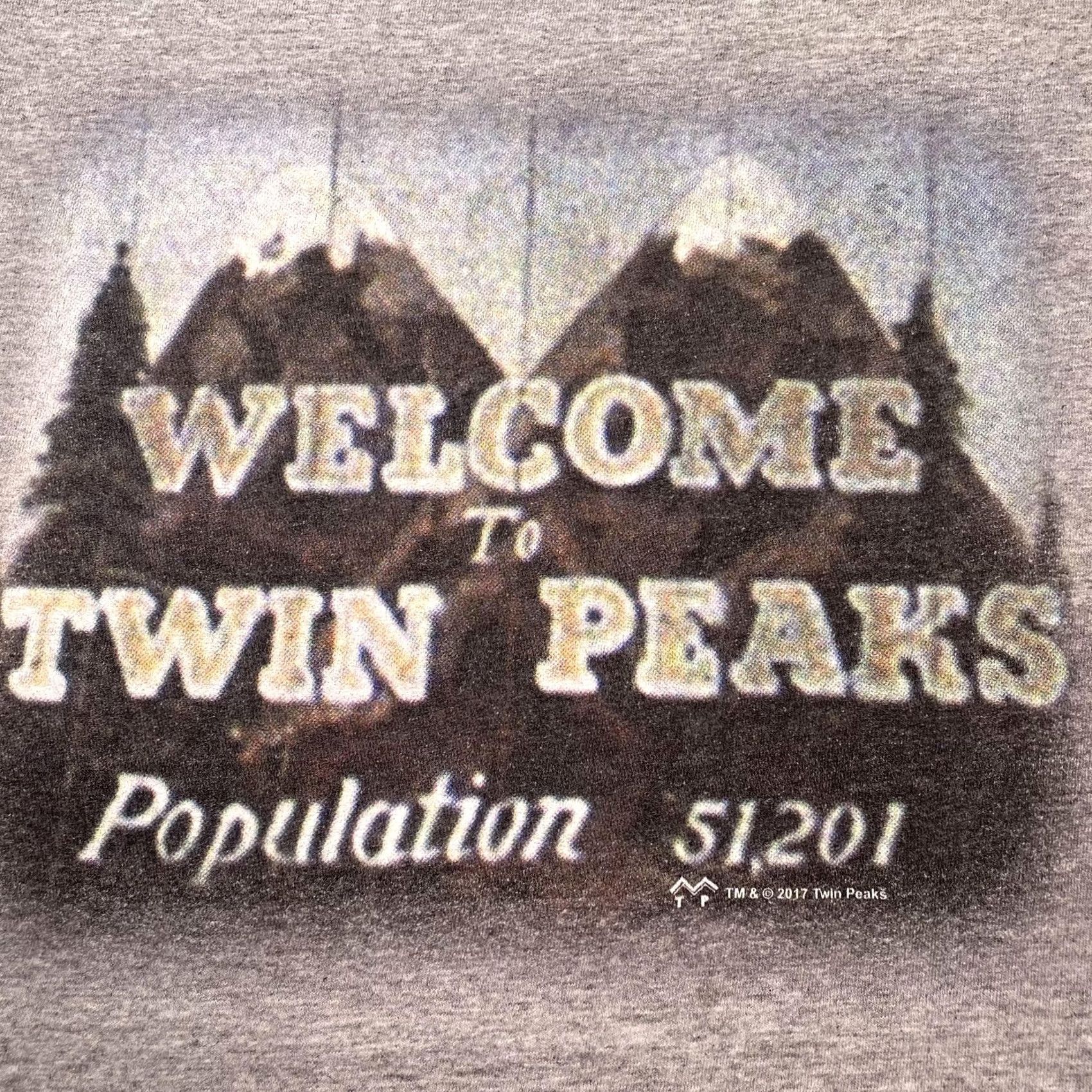 Fruit Of The Loom Twin Peaks Shirt Mens Large Gray Welcome To Twin Peaks Tee Fruit Of The Loom Size US L / EU 52-54 / 3 - 2 Thumbnail