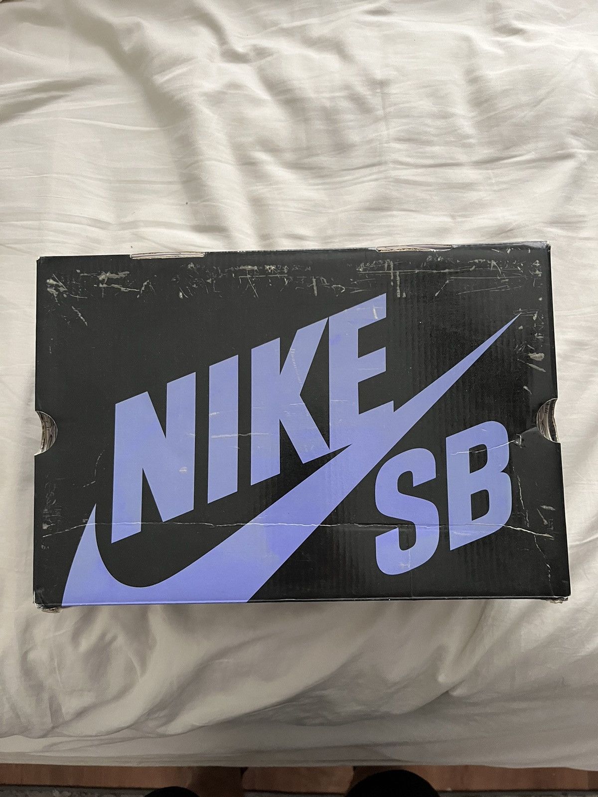 Nike SB “Dinosaur Jr” Dunk High