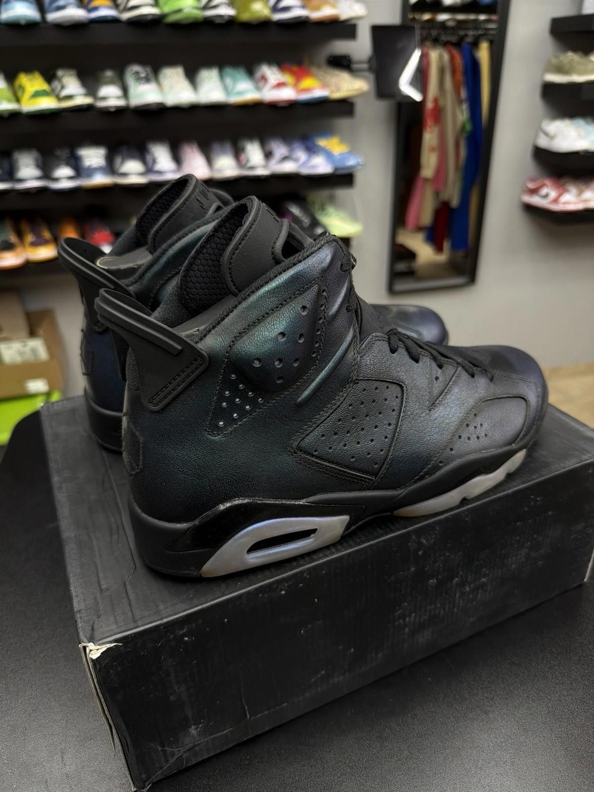 Jordan Brand Nike Air Jordan 6 All Star-Chameleon, Size 10 Brand New Size US 10 / EU 43 - 4 Thumbnail