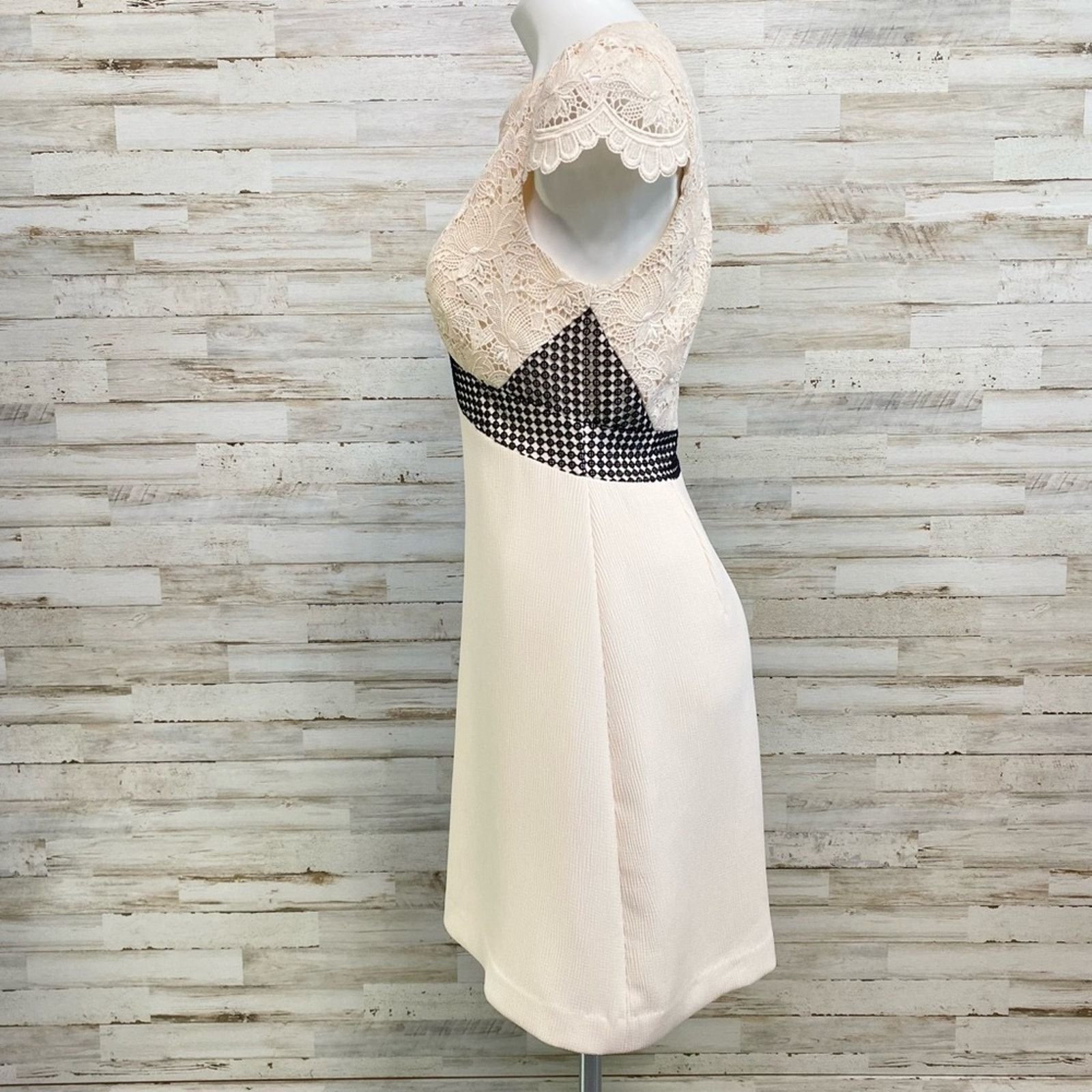 Club Monaco Club Monaco Zulandah Lace Crochet Dress Size 4 Cream Black Size S / US 4 / IT 40 - 7 Thumbnail