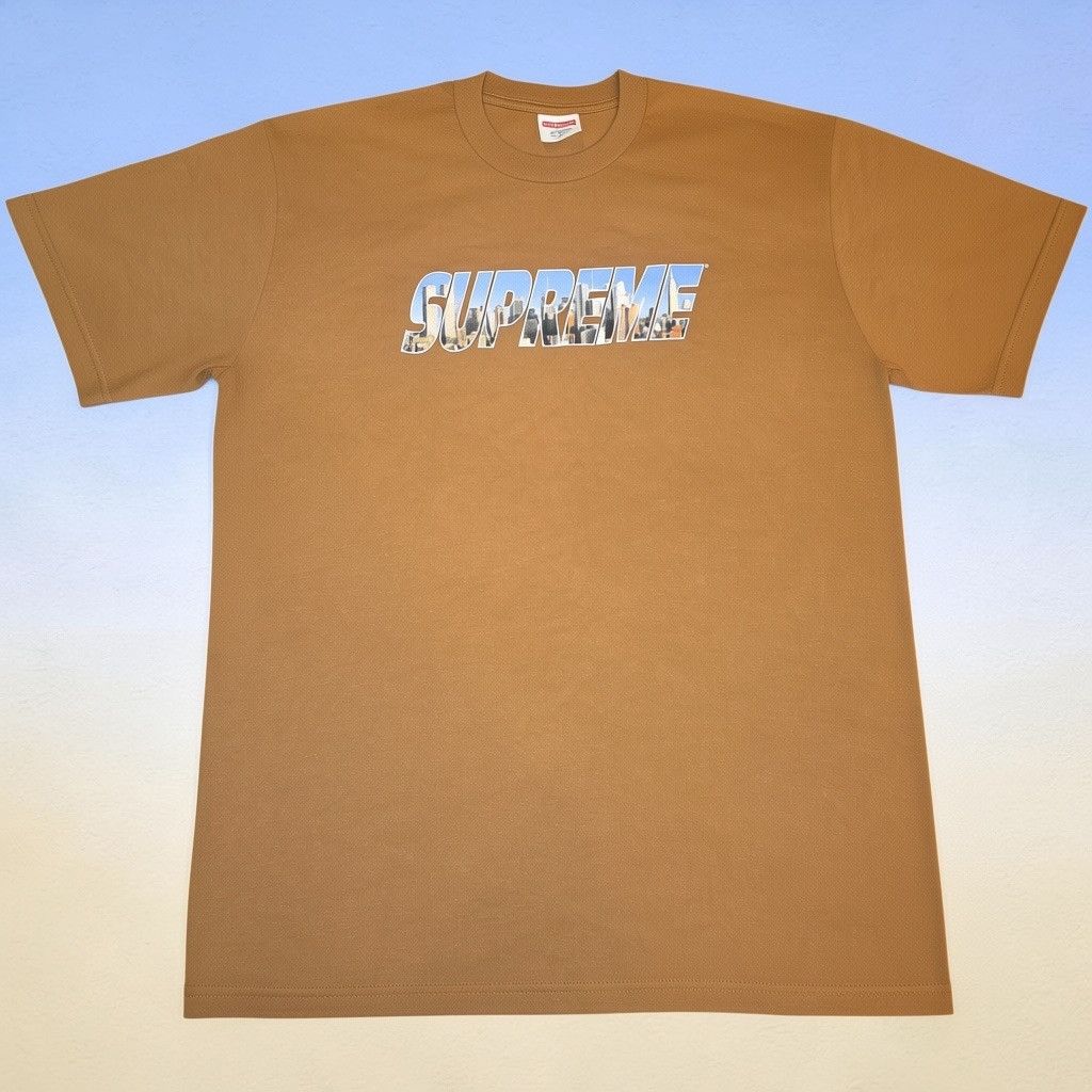 Supreme Wish Tee ブラウン TシャツM Supreme Supreme Wish Tee Tshirt (Brown) SS26 Medium In Hand | Grailed