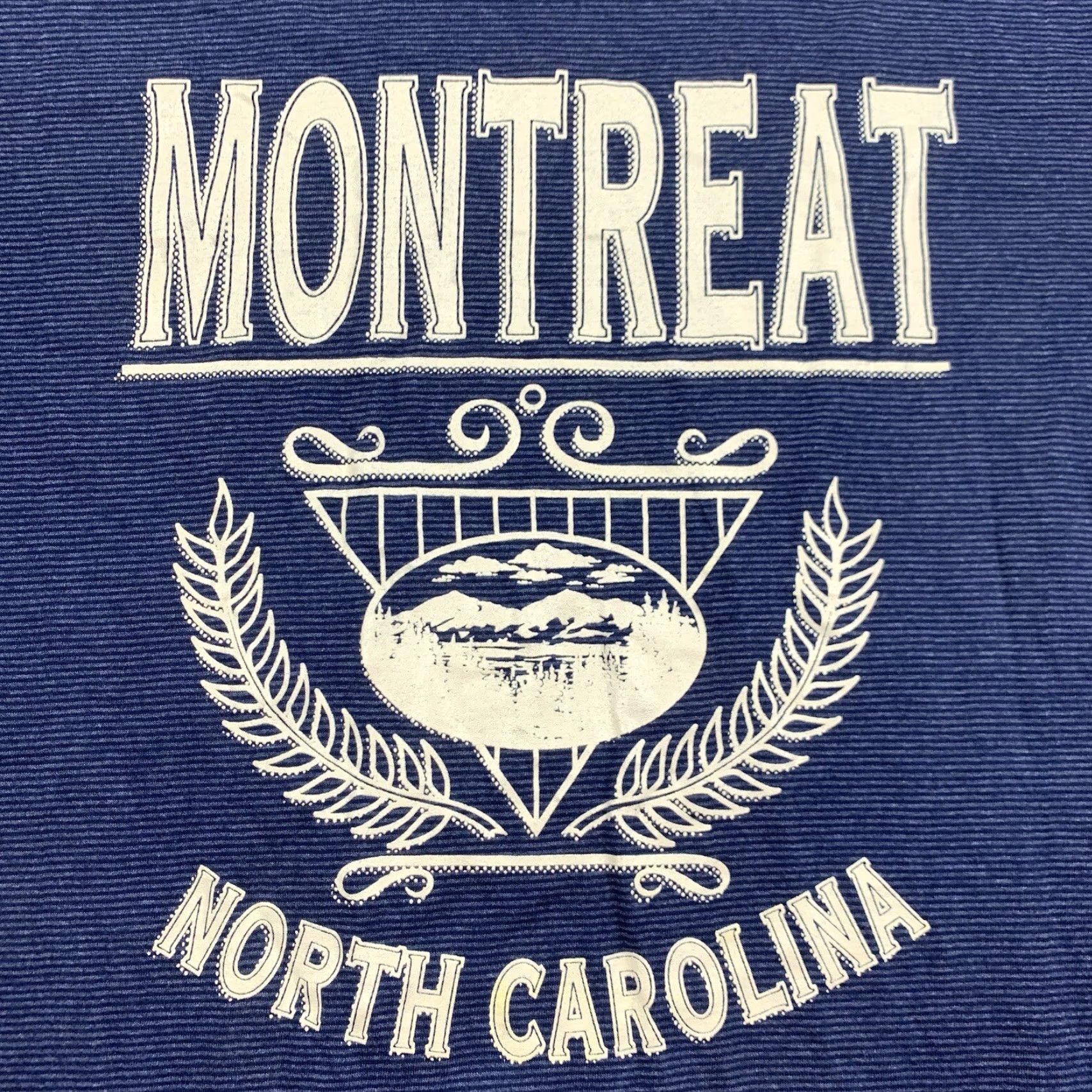 Velva Sheen VINTAGE Velva Sheen Montreat NC Shirt Adult Large Blue Striped Travel 90s Mens T-Shirt Size US L / EU 52-54 / 3 - 2 Thumbnail