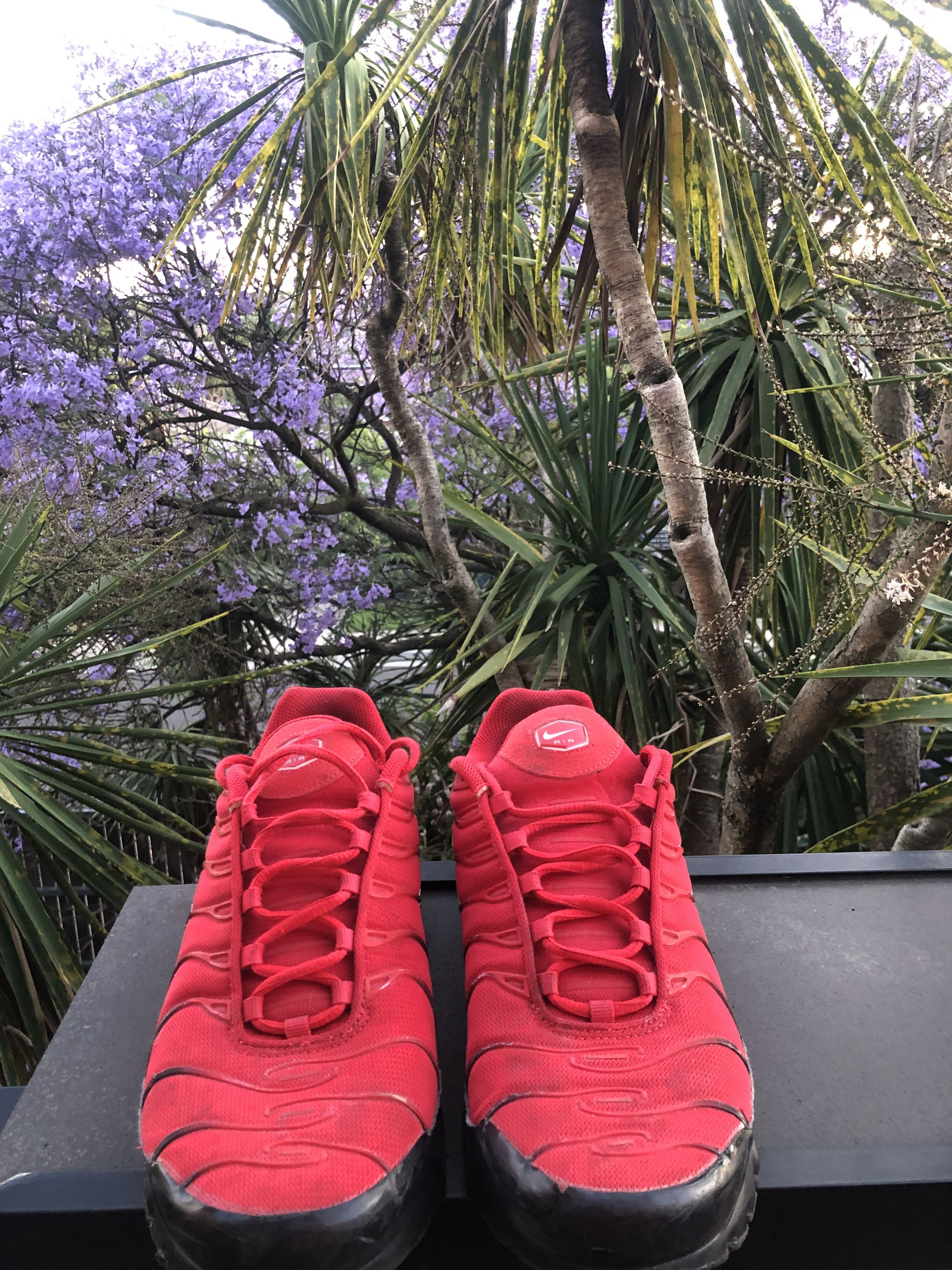 Nike Nike TN Red/Black US 11 Size US 11 / EU 44 - 1 Thumbnail