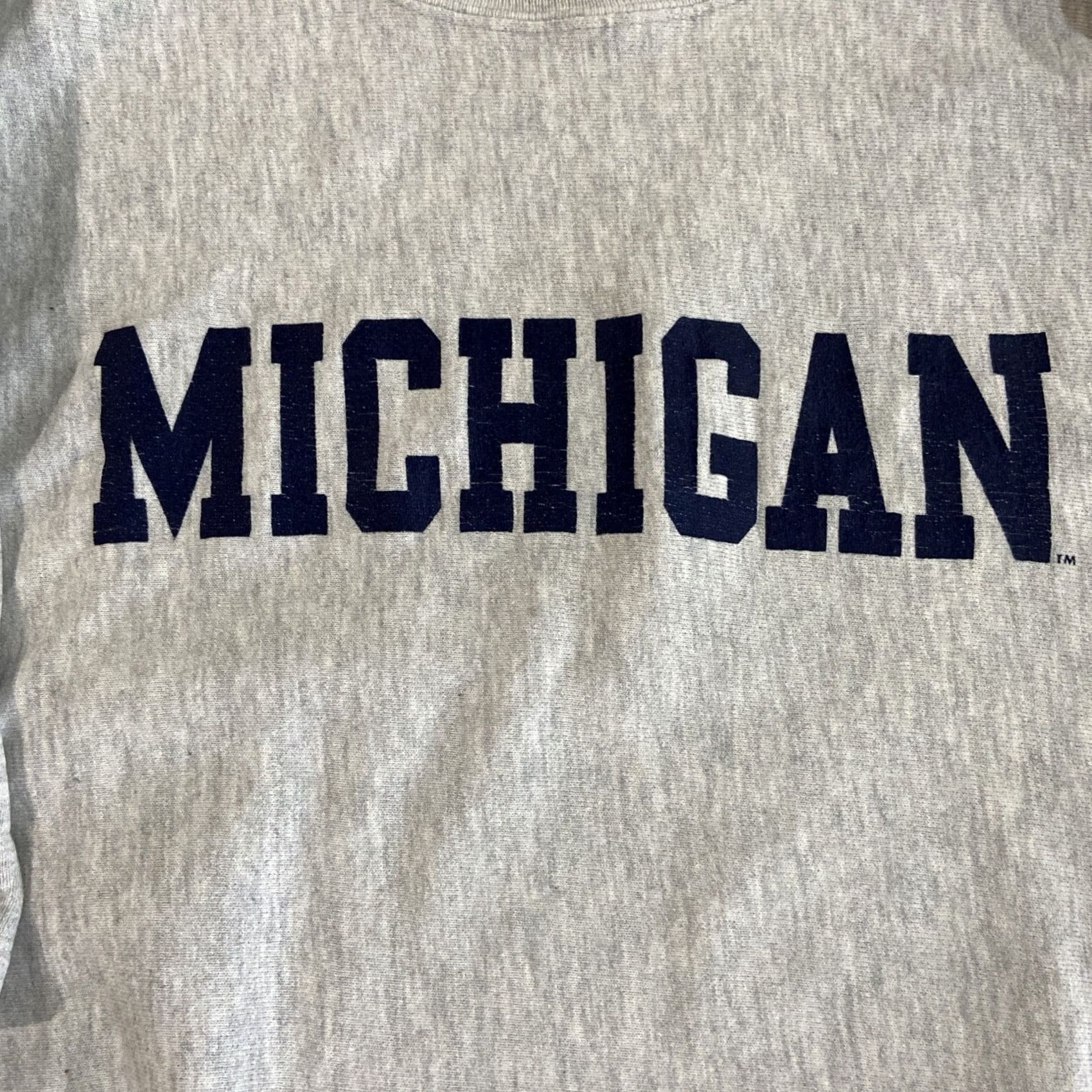 Champion VINTAGE Champion REVERSE WEAVE Michigan Sweater Shirt 1990s 3XL Grey Mens Size US XXL / EU 58 / 5 - 2 Thumbnail
