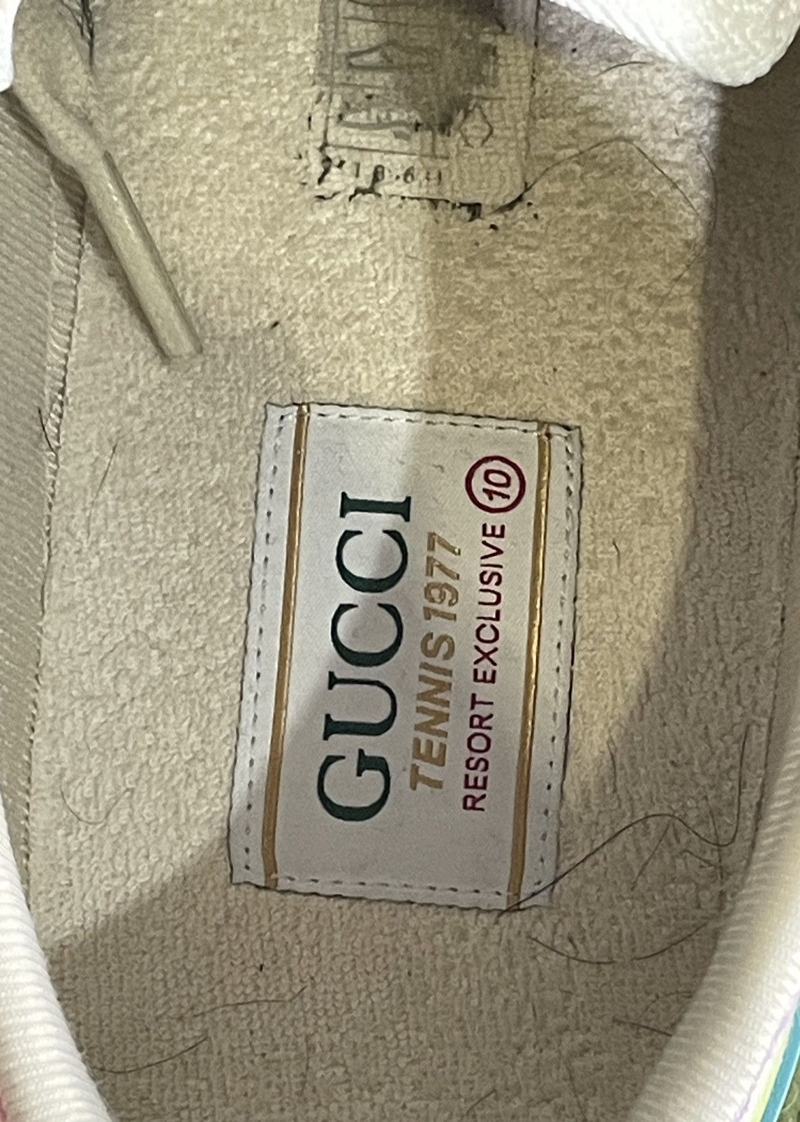 Gucci Gucci Multicolor Canvas Tennis highest 1977 Low Size US 10 / EU 43 - 6 Thumbnail