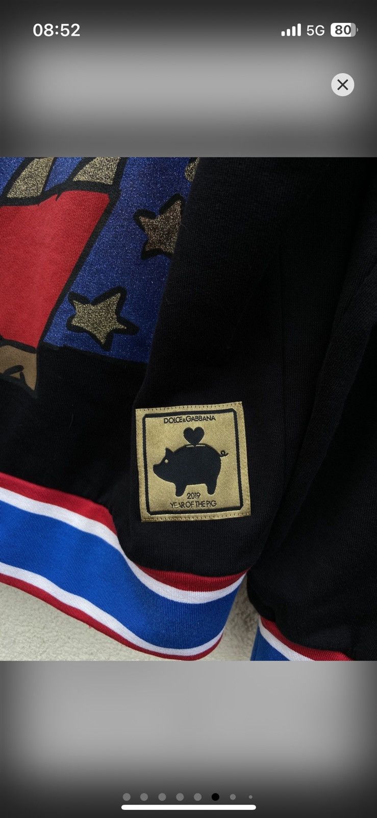 Dolce & Gabbana Dolce & Gabbana DG Golden Pig Hoodie rare luxury Italy Size US L / EU 52-54 / 3 - 6 Thumbnail