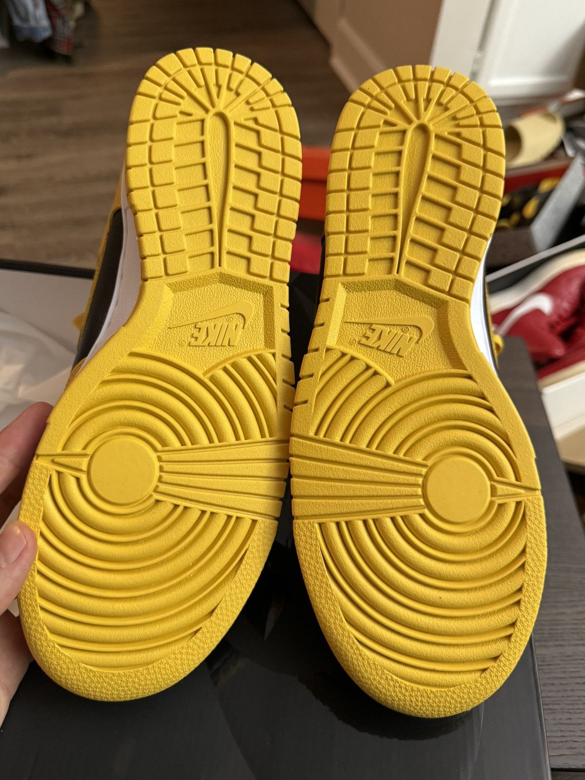 Nike X Wu Tang dunk Hi