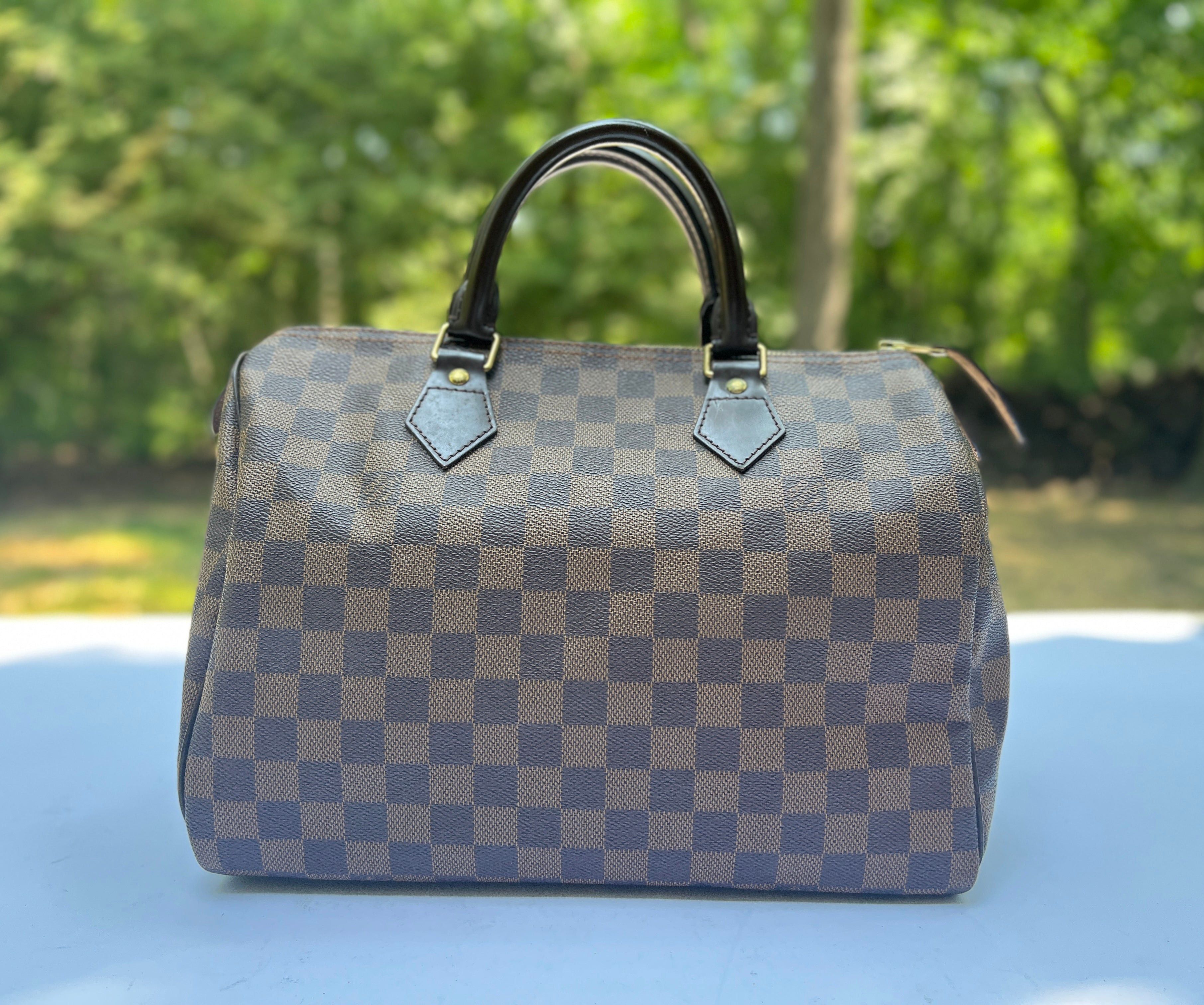 Louis Vuitton Damier Ebene Speedy 30 Satchel Handbag