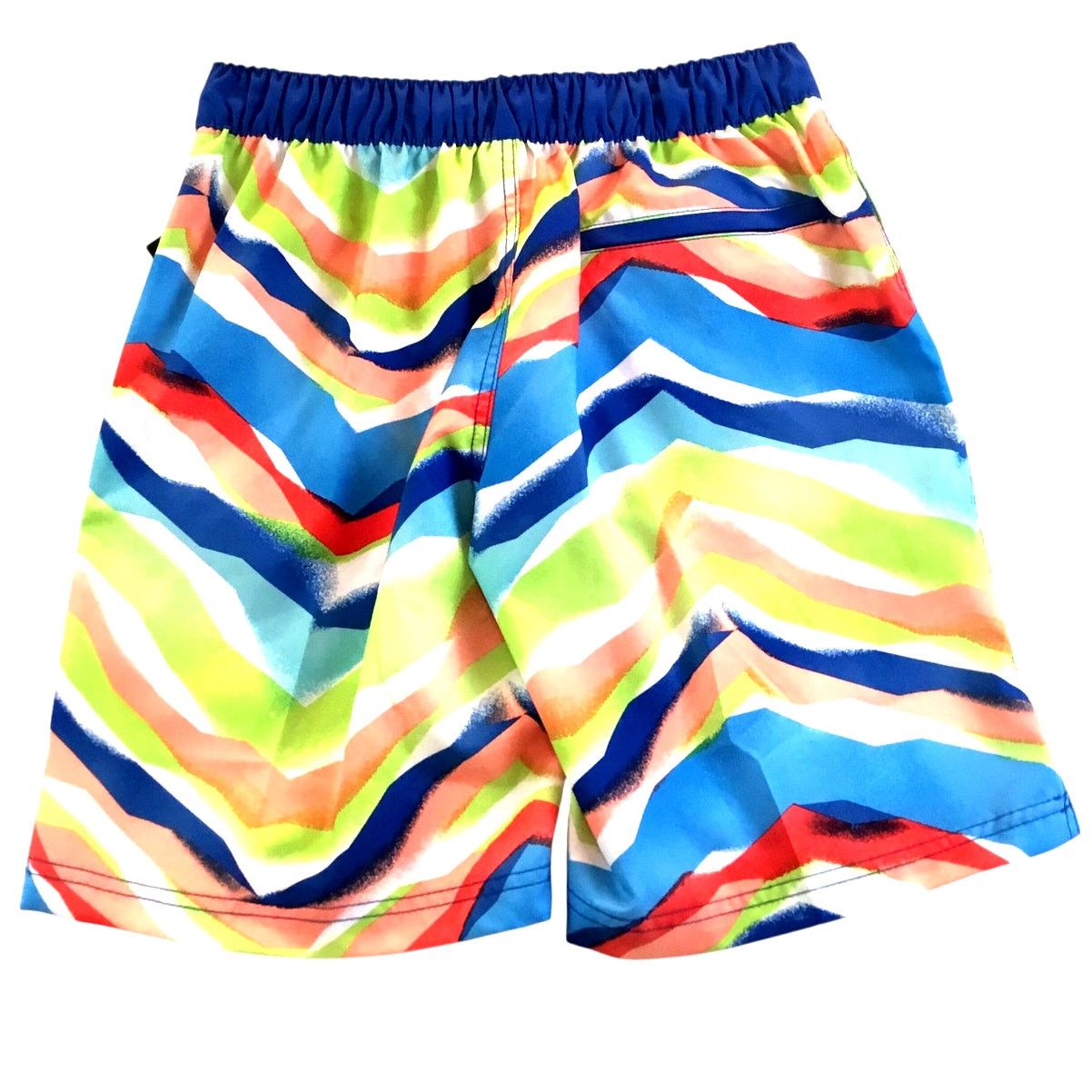 Speedo Speedo BoardShorts Swim Trunks Small Multi-Color NWT $62.00 Size US 30 / EU 46 - 2 Thumbnail