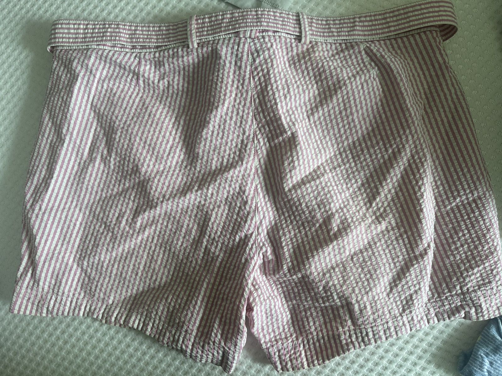 Brooks Brothers Black Fleece Brooks brothers black fleece x Thom Browne shorts 34 Size US 34 / EU 50 - 3 Thumbnail