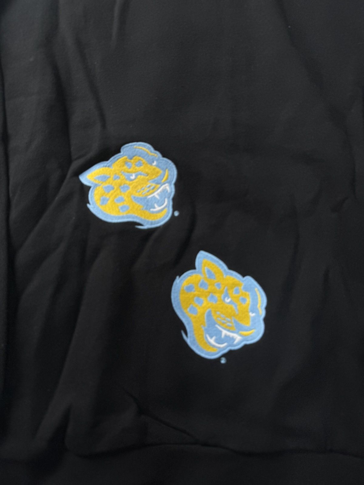 Mitchell & Ness × Travis Scott Southern university hoodie Size US M / EU 48-50 / 2 - 5 Thumbnail