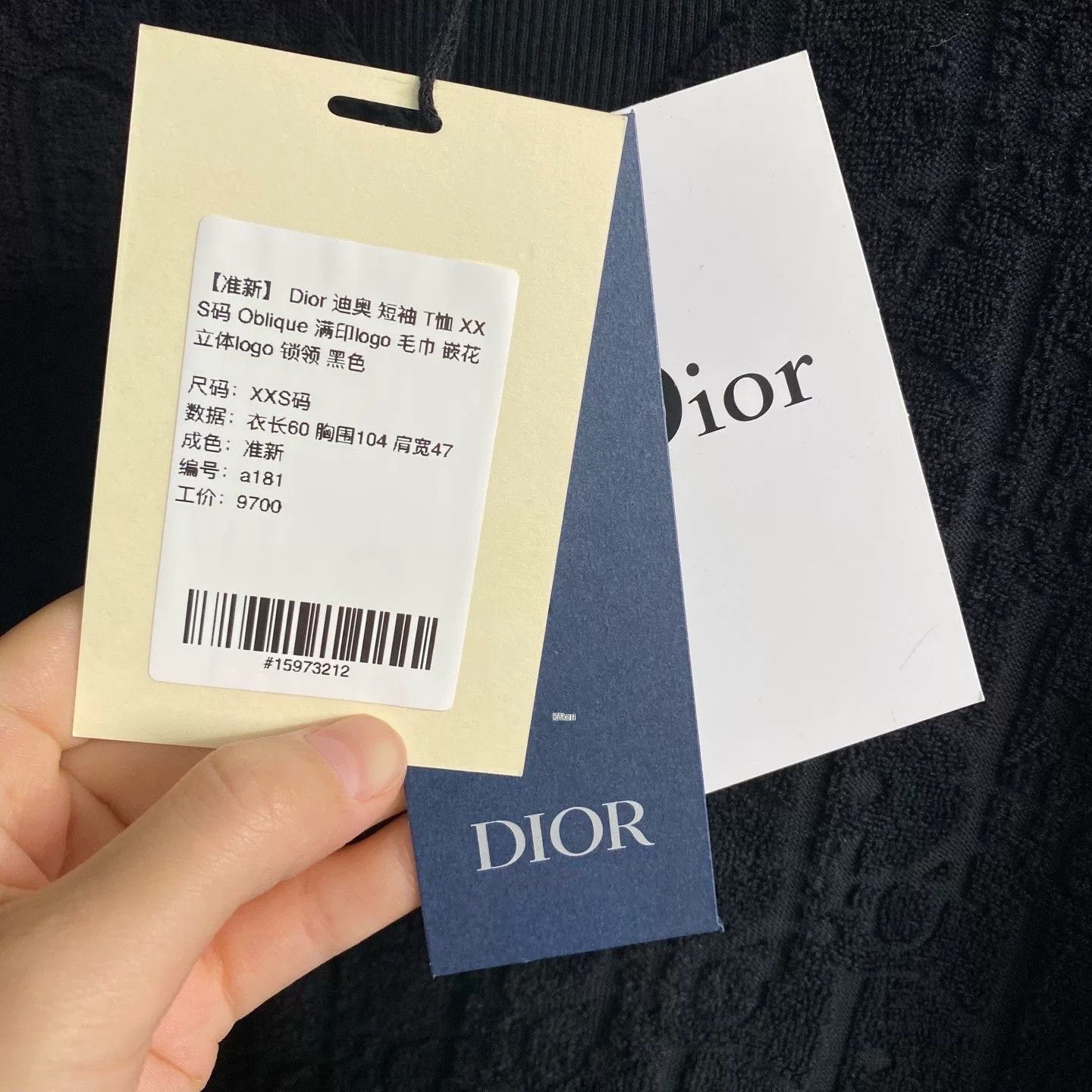 Dior Dior Black Oblique Logo Short Sleeve T-Shirt Size US XXS / EU 40 - 5 Thumbnail