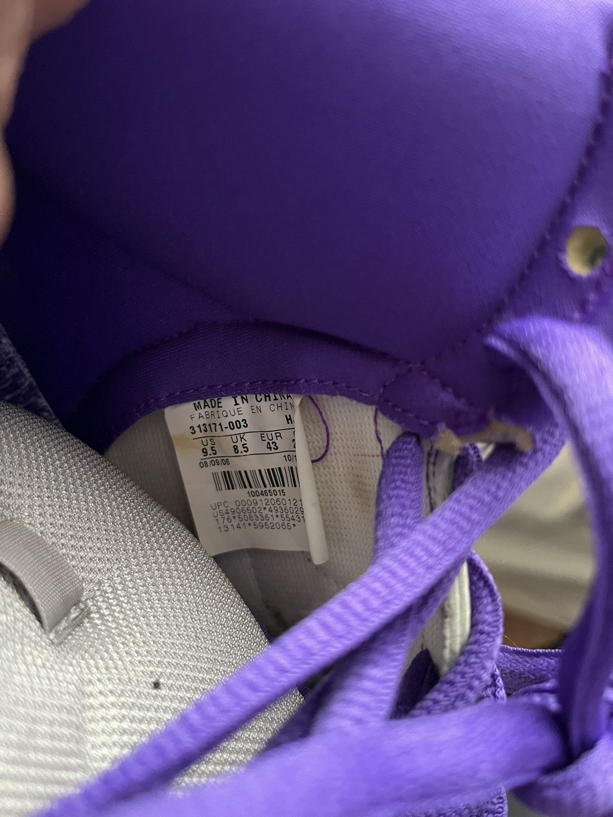 Nike SB “Dinosaur Jr” Dunk High