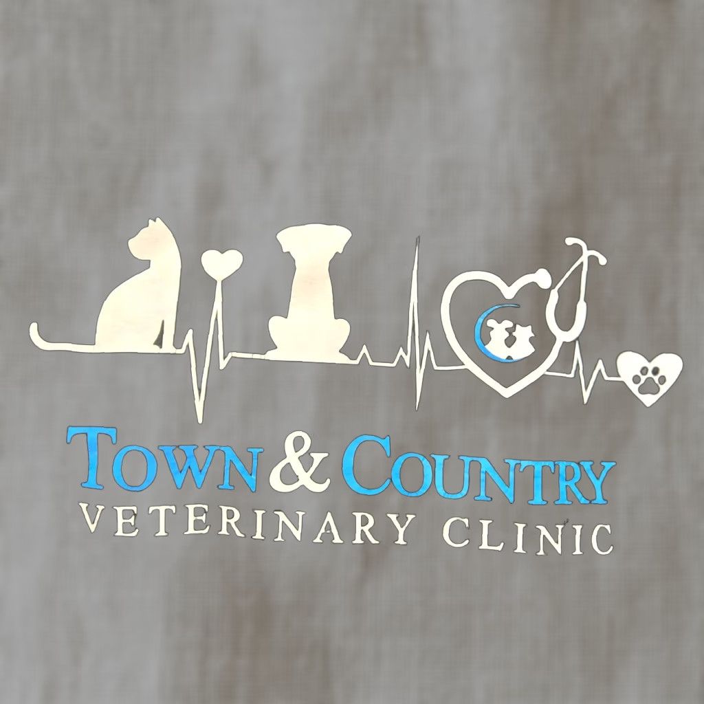 Vintage VINTAGE Town & Country Veterinary Sweater Hoodie Shirt Unisex XL Black Logo Sweatshirt Mens Womens Size US XL / EU 56 / 4 - 1 Thumbnail