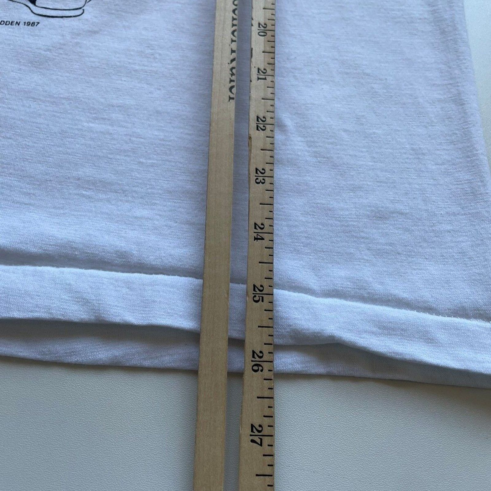 Fruit Of The Loom Vintage 90s Torontosarus Toronto Canada T Shirt Medium Rare Size US M / EU 48-50 / 2 - 6 Thumbnail
