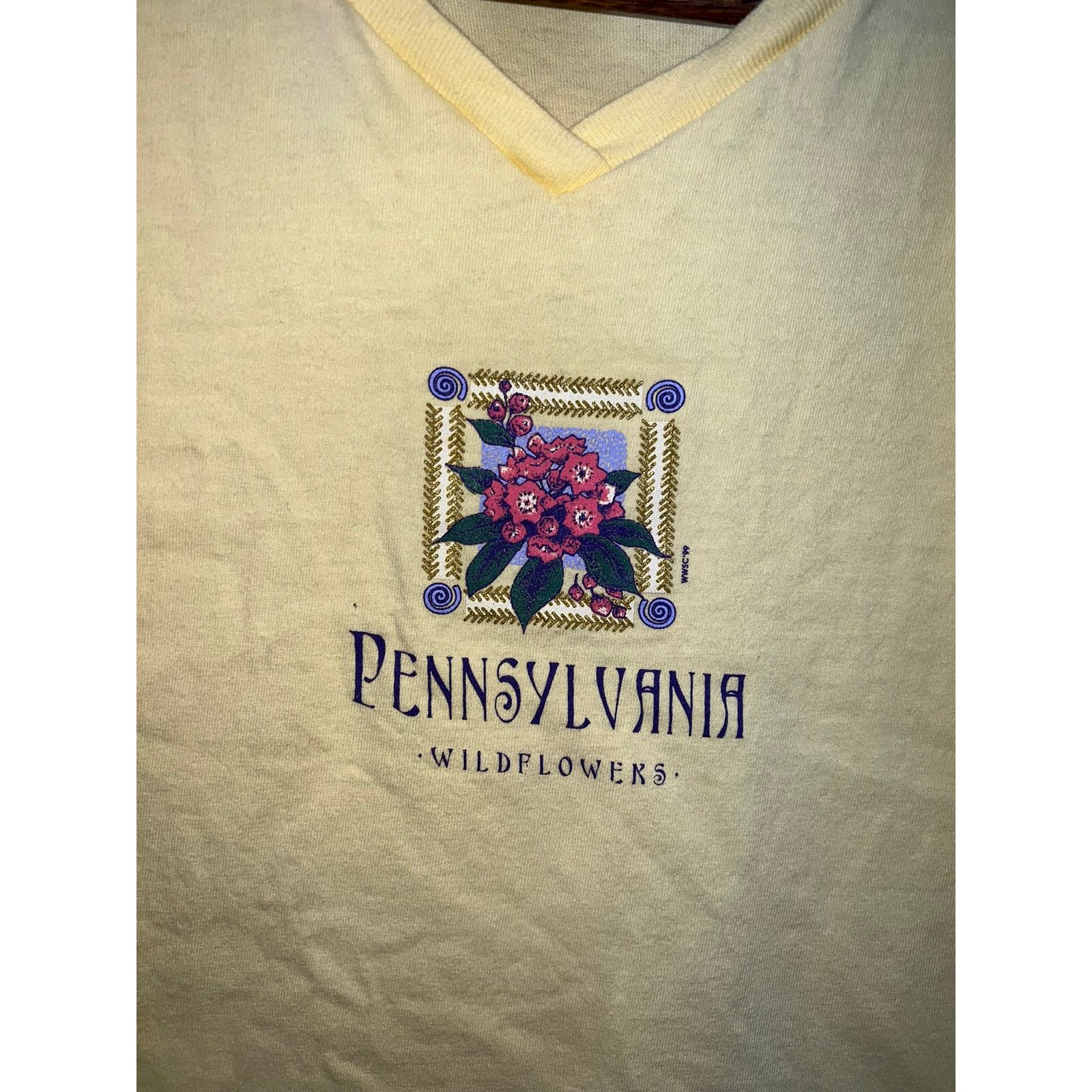 Anvil Women's Vintage Pennsylvania Shirt Top Tee Stained Stain L Size L / US 10 / IT 46 - 2 Thumbnail