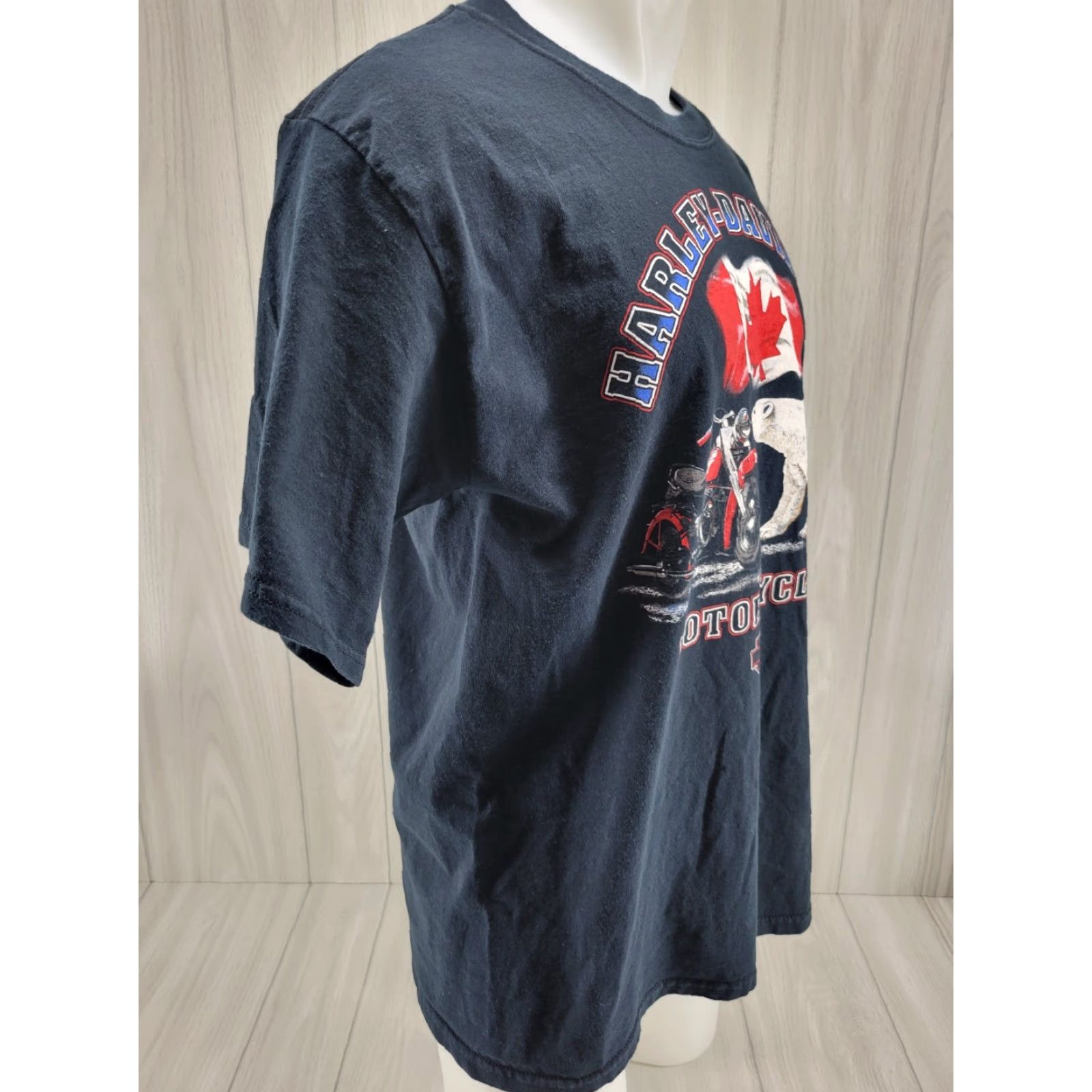 Harley Davidson VINTAGE Harley-Davidson T-Shirt Men 2002 Black Large Eagle Flames Canada Ontario CA TD 2000-2009 Size US L / EU 52-54 / 3 - 4 Thumbnail