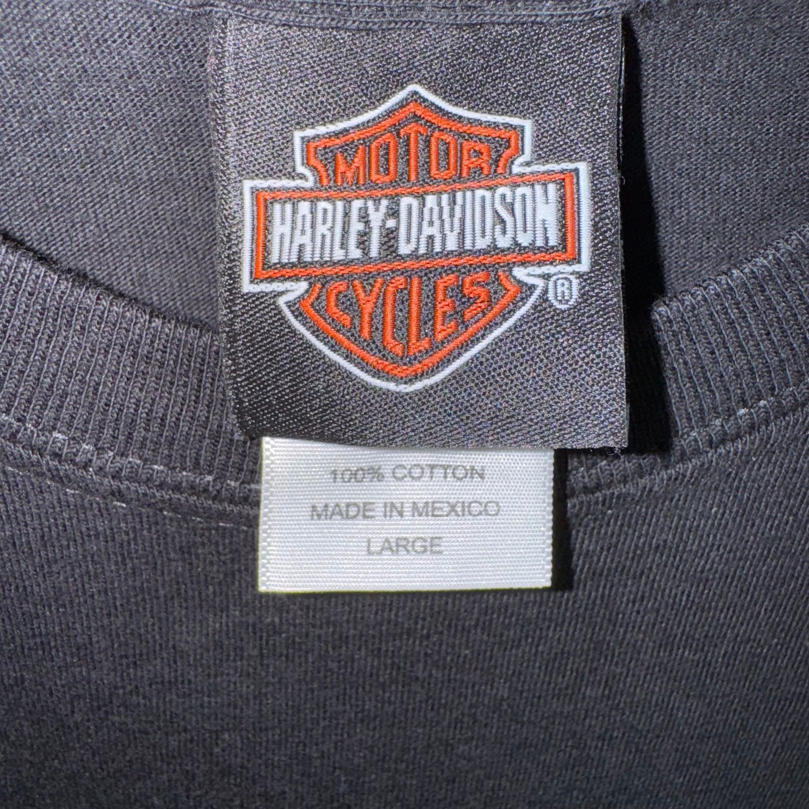 Harley Davidson Vintage Y2K Harley Davidson Alamo city motorcycle TX t-shirt Size US L / EU 52-54 / 3 - 3 Thumbnail