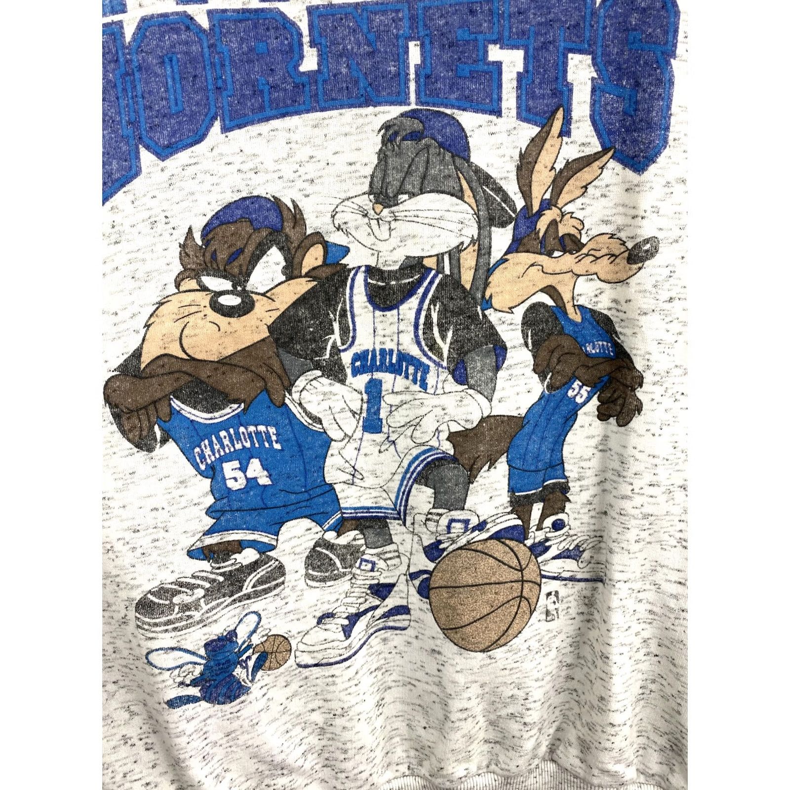 Gildan VINTAGE Charlotte Hornets NBA Looney Tunes Sweatshirt XL Gray Mens Pullover 90s Retro Cartoon Hoodie? Size US XL / EU 56 / 4 - 7 Thumbnail
