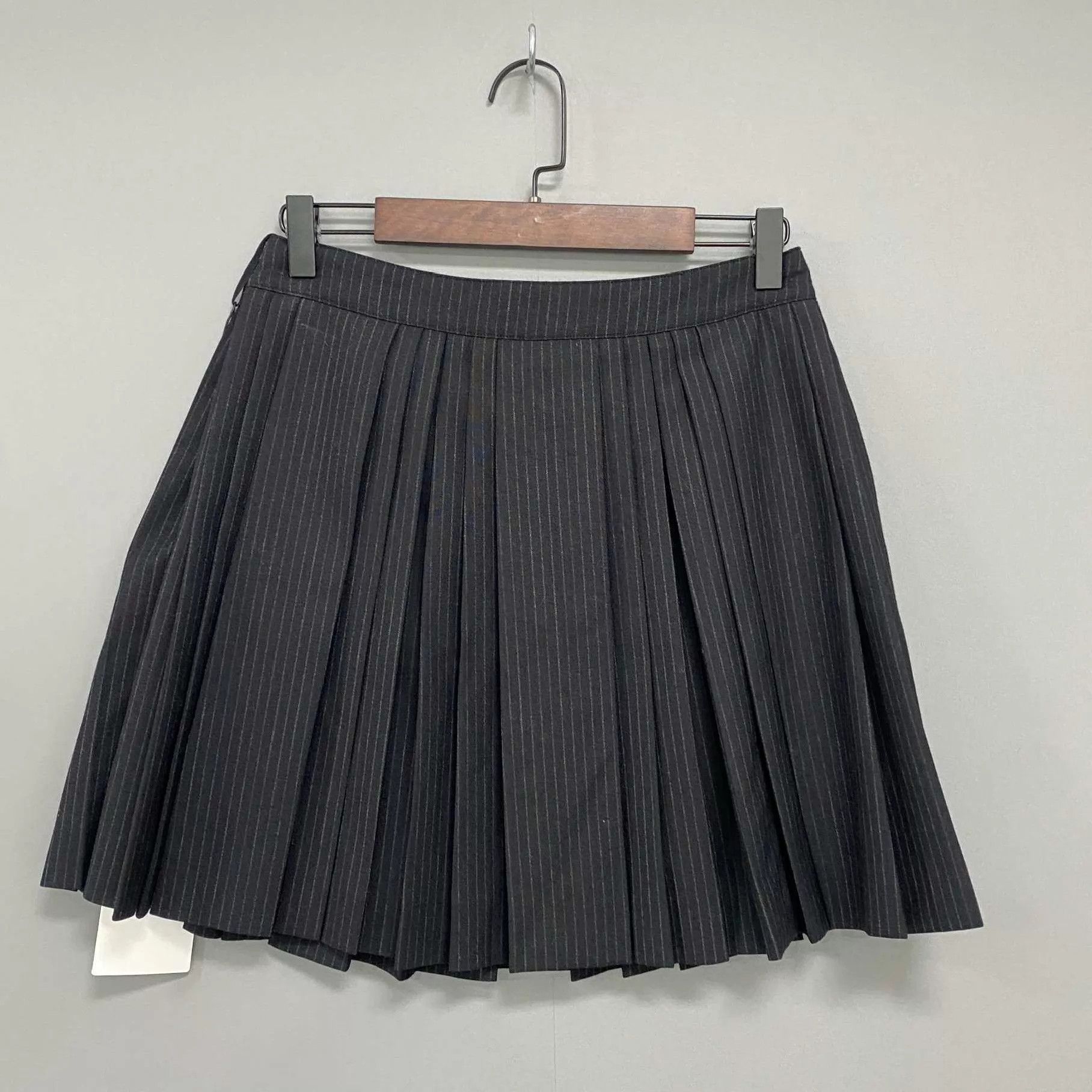 Celine Celine Triomphe Metal Pleated Skirt 36 New With Tags Size 25" / US 0 / IT 36 - 3 Thumbnail