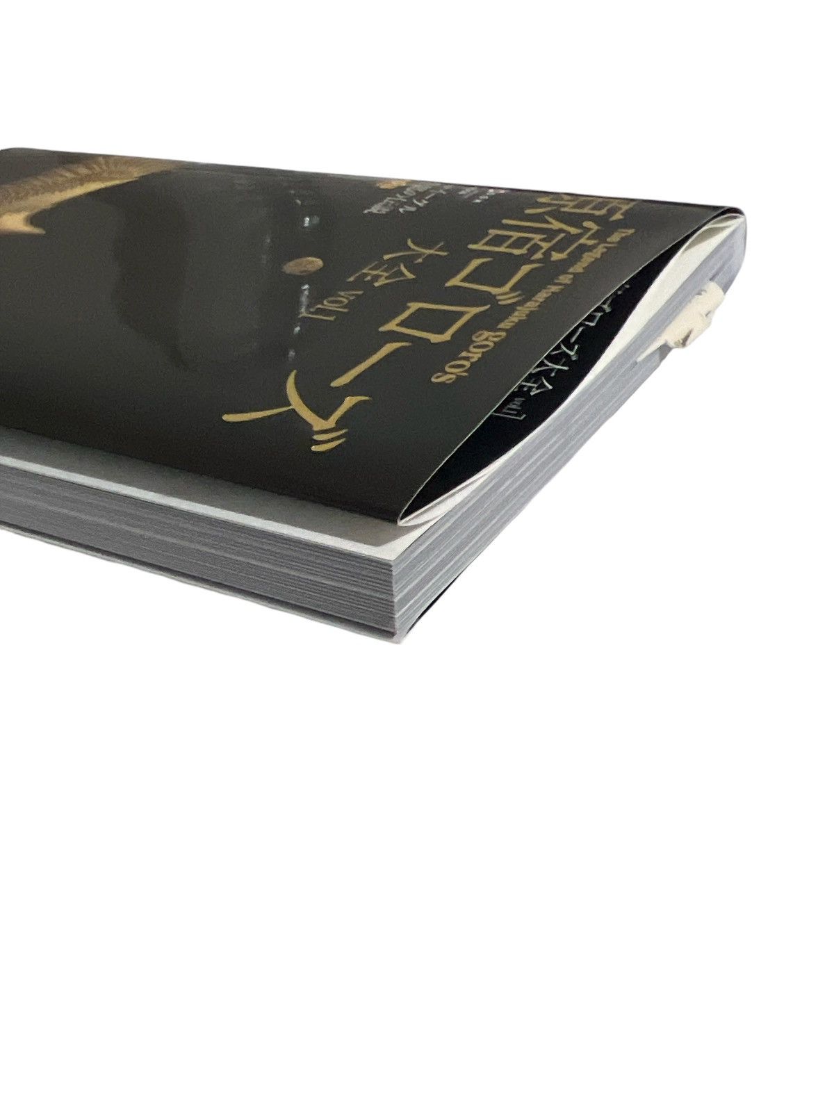 Goro's 🎁 GORO's Book Gold Eagle Feather Necklace Mook Magazine Size ONE SIZE - 2 Thumbnail