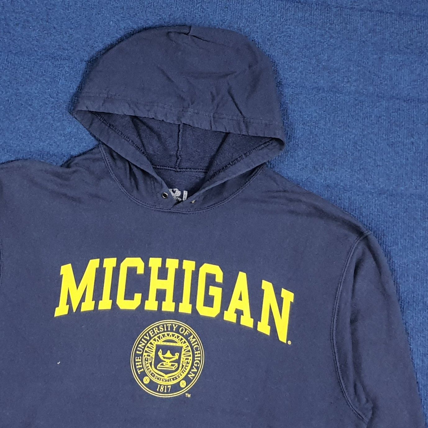 Vintage Vintage University of Michigan Hoodie C284N16 Size US L / EU 52-54 / 3 - 2 Thumbnail