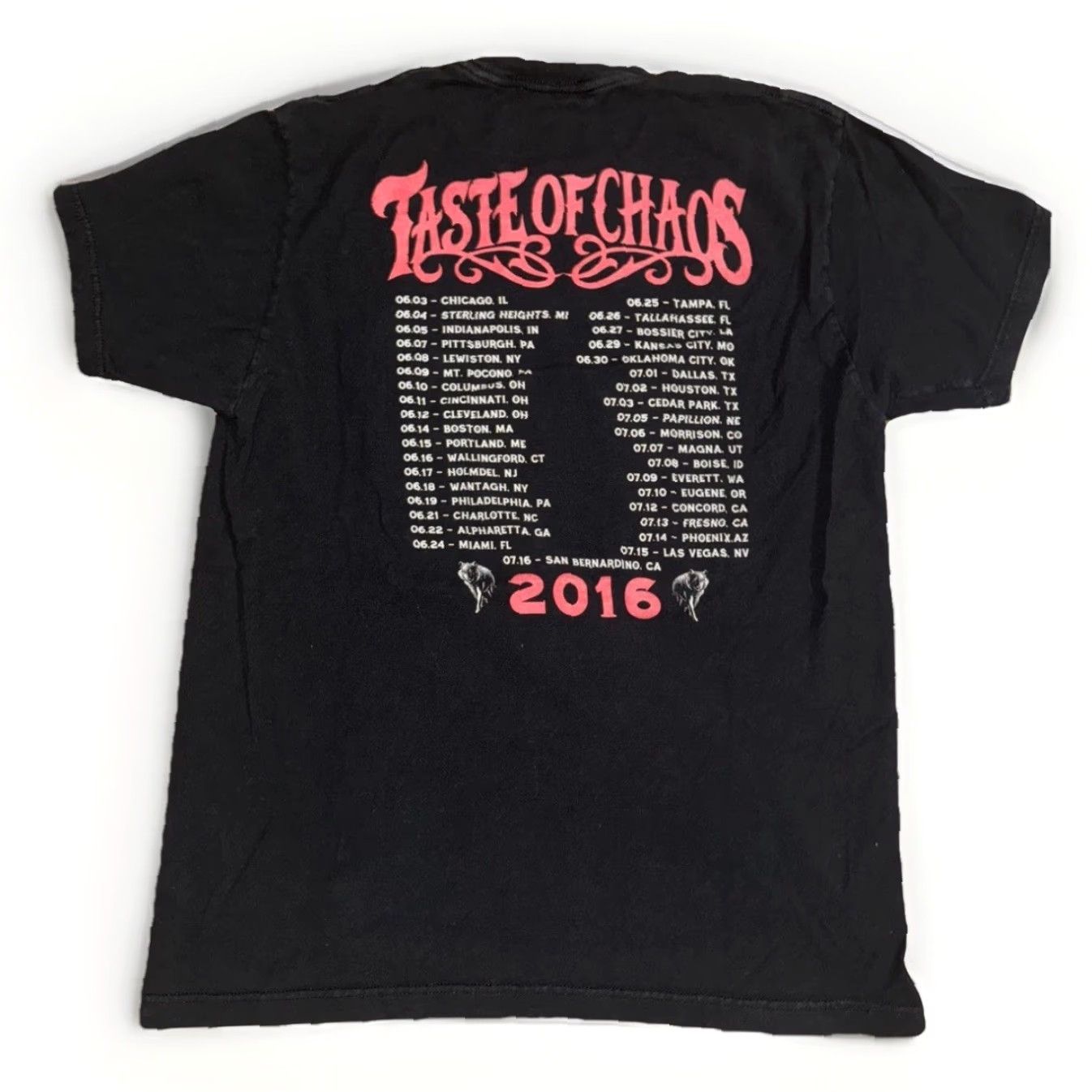 Taste of Chaos Tour 2016 Band T-Shirt Black Mens Large 20x27 Rock Concert Tee Shirt Graphic Print Band Music Rock 2000s Mens
