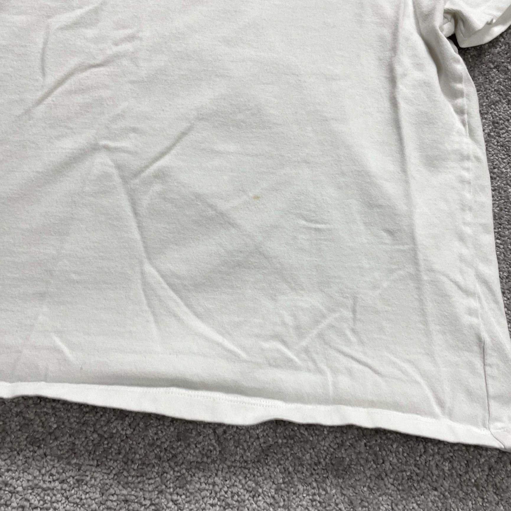 Champion Champion Graphic T-Shirt Women XL White Crew Neck Short Sleeve Cotton Casual Top - Regular Fit, 100% Cotton, Basic Tee, 90s? (No, avoid adding decade) Size XL / US 12-14 / IT 48-50 - 7 Thumbnail