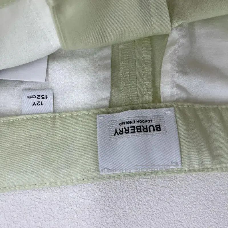 Burberry Burberry Women's Light Green Cotton Shorts. Size 30" / US 8 / IT 44 - 4 Thumbnail