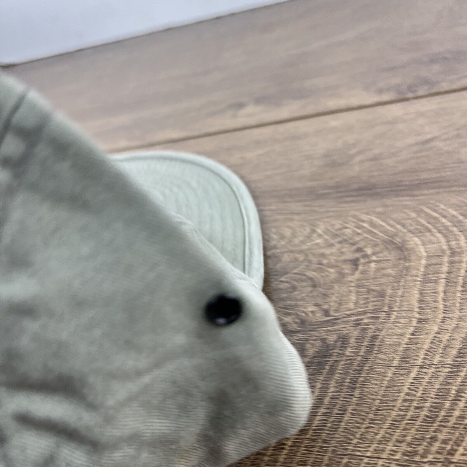 Other Aggressive Appliances Hat Gray Hat Adjustable Gray Adult Siz Size ONE SIZE - 11 Thumbnail