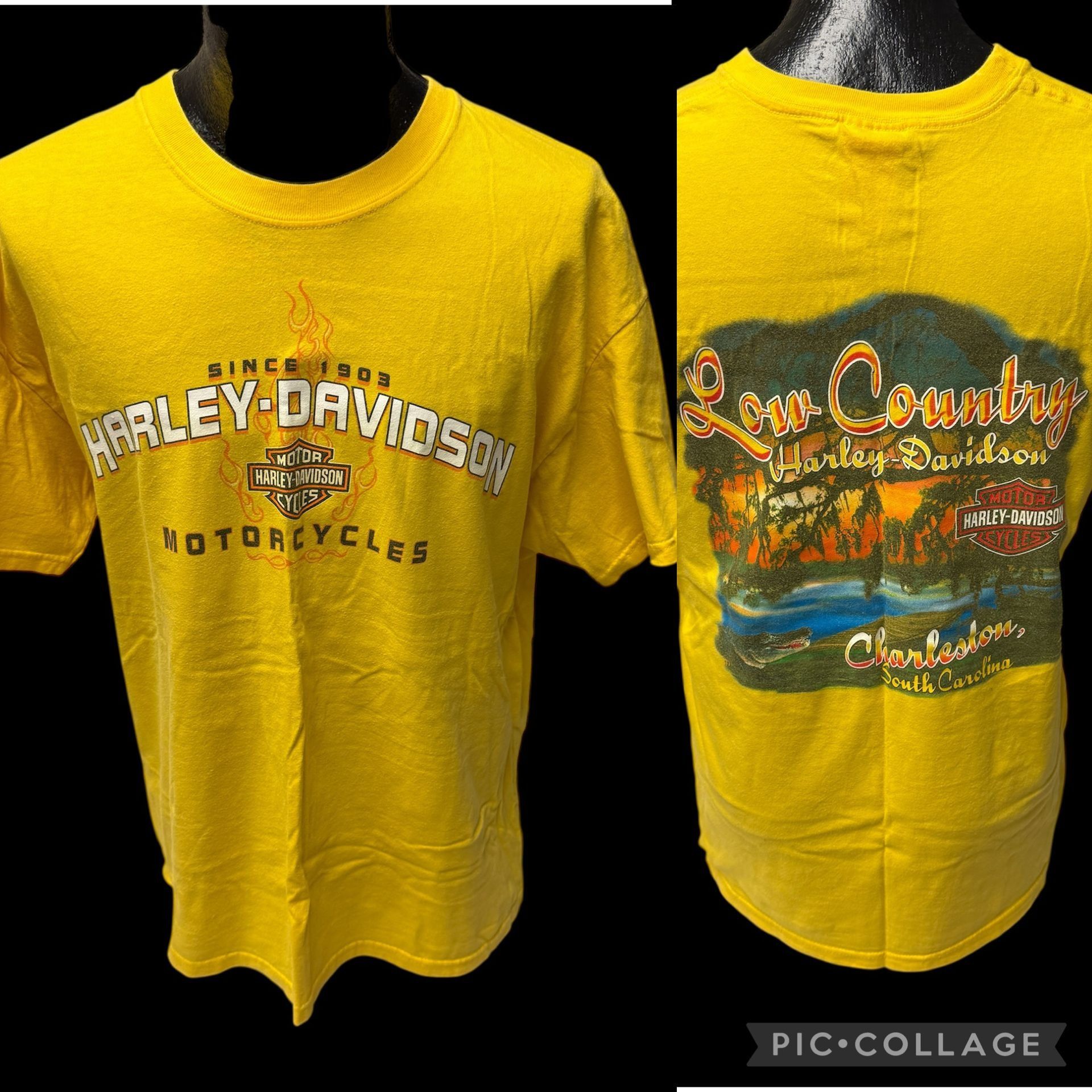Harley Davidson Low Country Charleston SC SWAMP GATORS SUNSET Biker T Shirt Size US XL / EU 56 / 4 - 2 Thumbnail