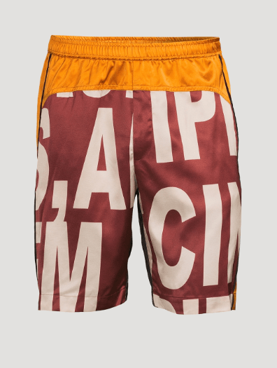 Dries Van Noten BNWT SS23 DRIES VAN NOTEN PARCHER SHORTS 48 Size US 32 / EU 48 - 10 Thumbnail