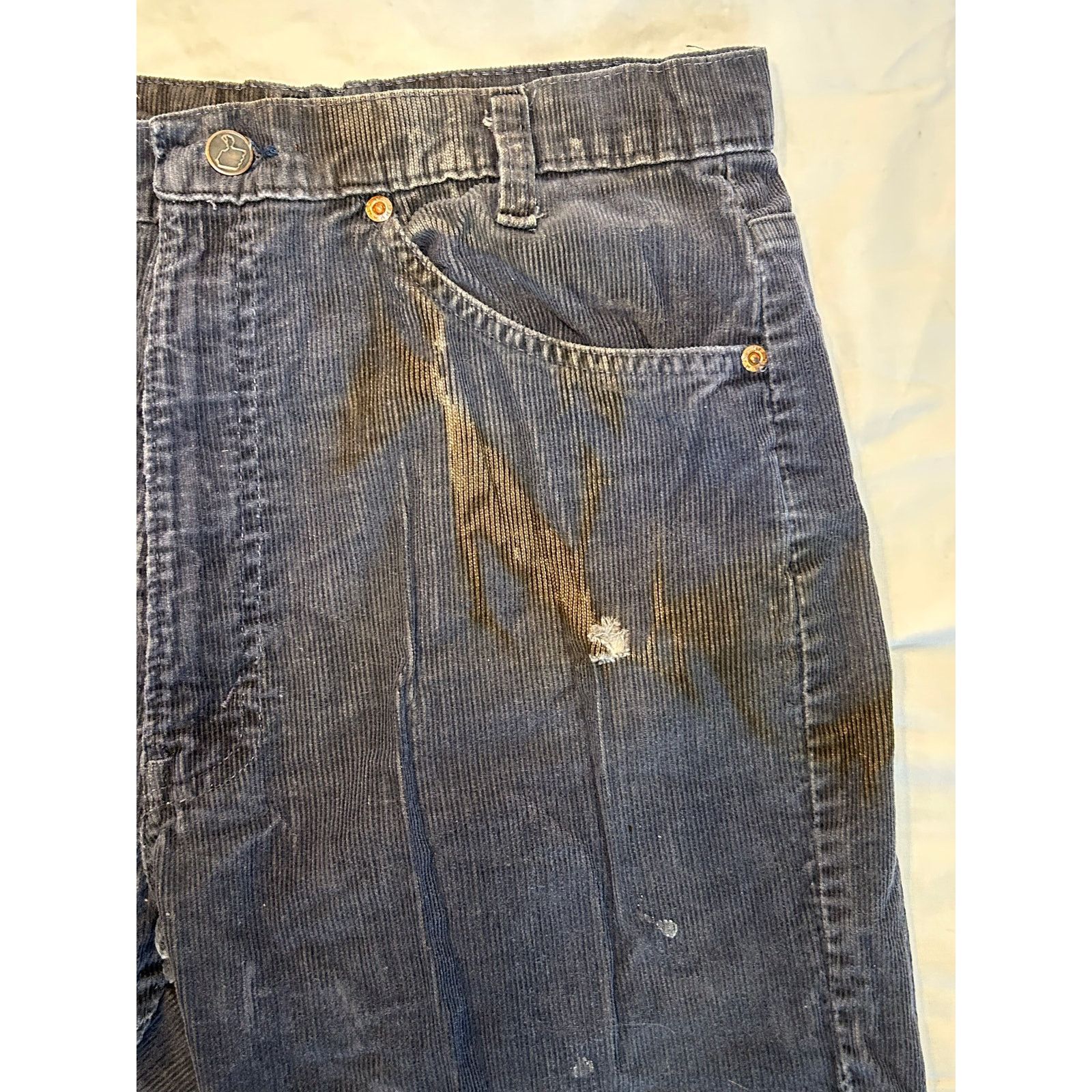 Sears Timeless Threads: Rugged Men’s 32x32 Corduroy Pants Size US 32 / EU 48 - 5 Thumbnail