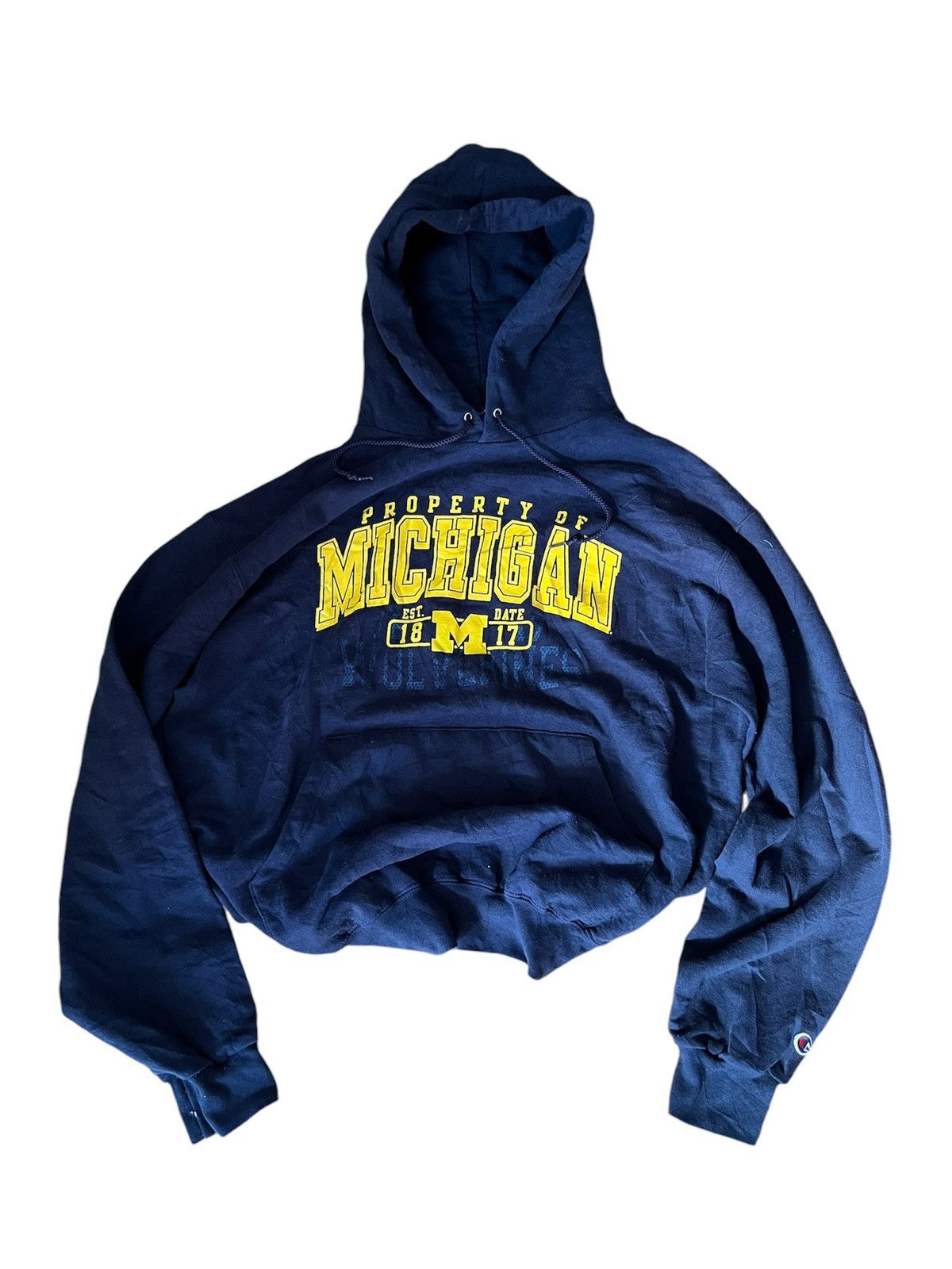 Champion Champion Vintage Property of Michigan Wolverines Hoodie Size US L / EU 52-54 / 3 - 2 Thumbnail
