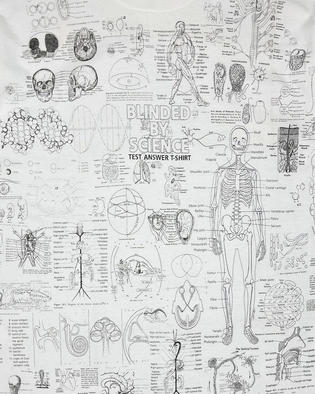 Vintage 1990s Blinded by Science Test Answer Anatomy Tee Size US M / EU 48-50 / 2 - 2 Thumbnail