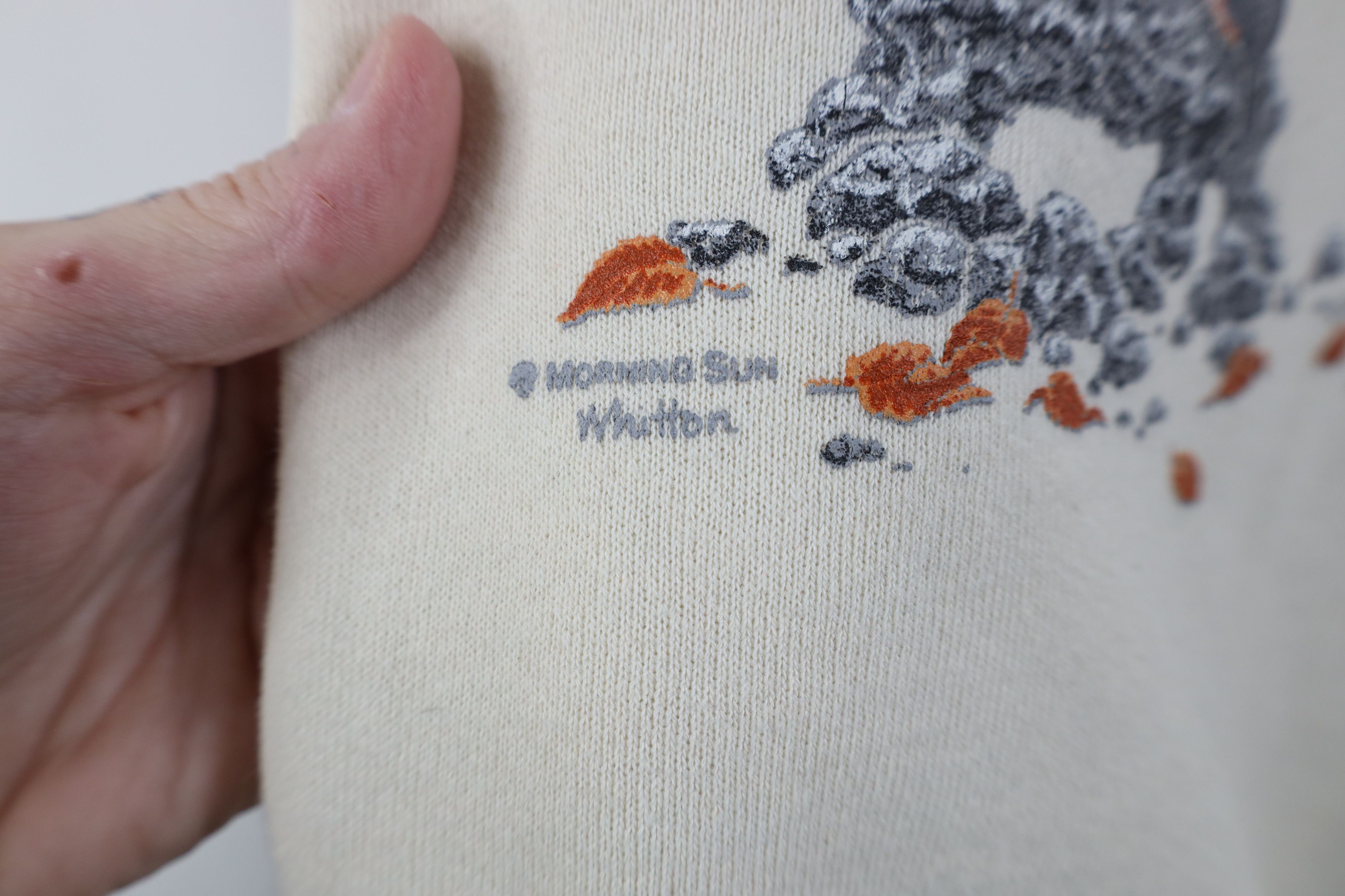 Vintage Vintage 90s Streetwear Cat Lady Cat Kitten Bird Sweatshirt Size XL / US 12-14 / IT 48-50 - 7 Thumbnail