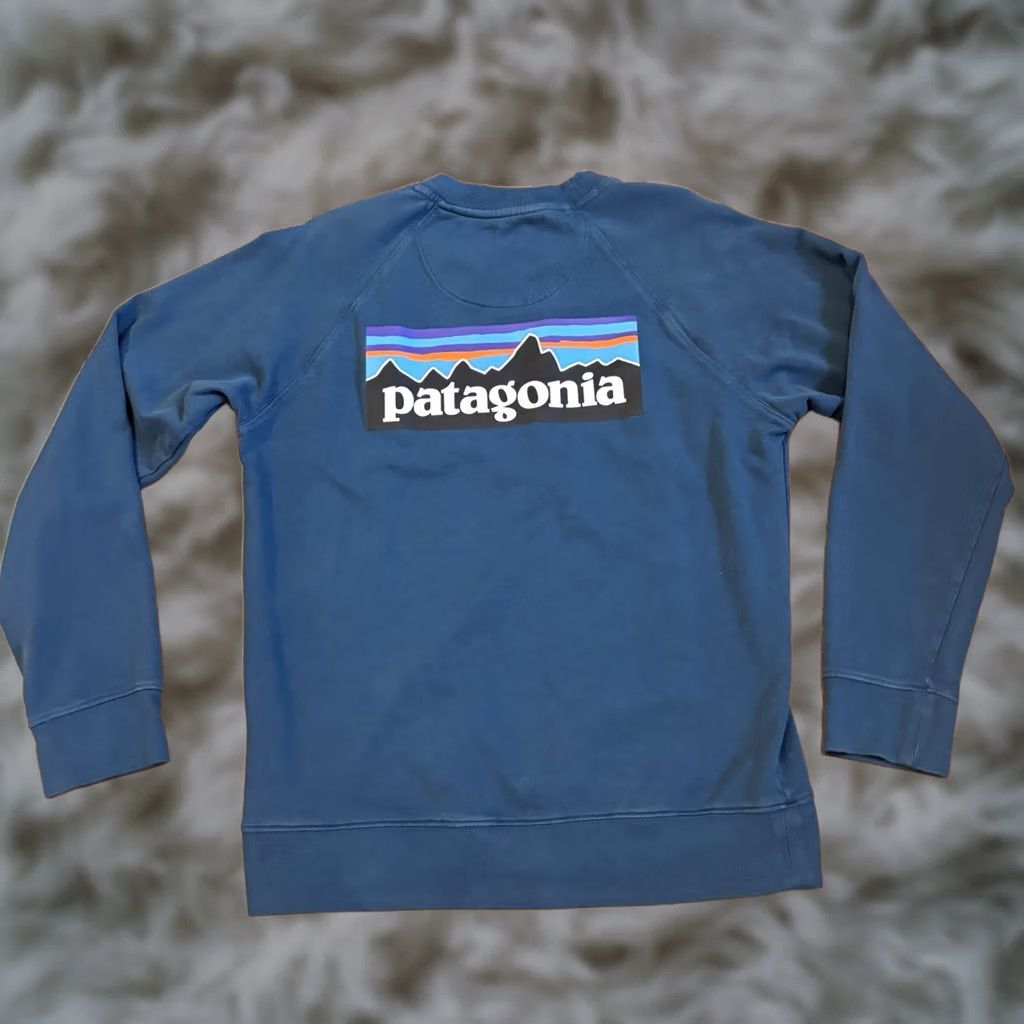 Patagonia Patagonia Sweatshirt Mens Small Blue P-6 Logo Organic Crew STY39603 Size US S / EU 44-46 / 1 - 1 Thumbnail