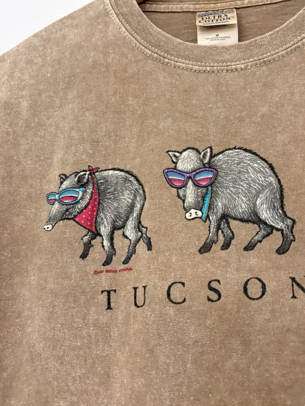 Vintage 00’s Tuscon, Arizona Vintage Ant Eater Tee Shirt Size US M / EU 48-50 / 2 - 3 Thumbnail