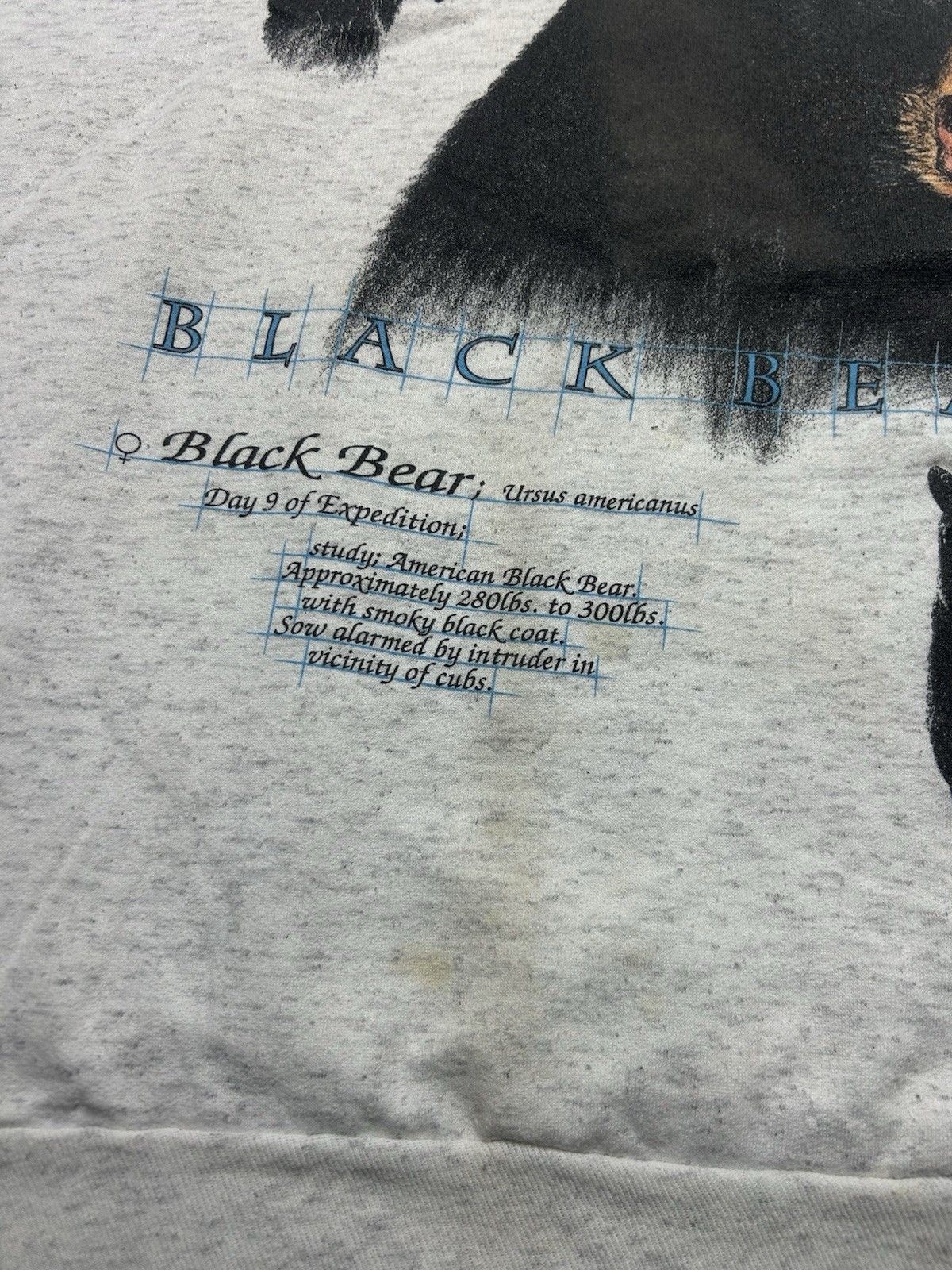 Vintage Vtg sweatshirt black bear animal nature Ontario Canada XL Size US XL / EU 56 / 4 - 3 Thumbnail