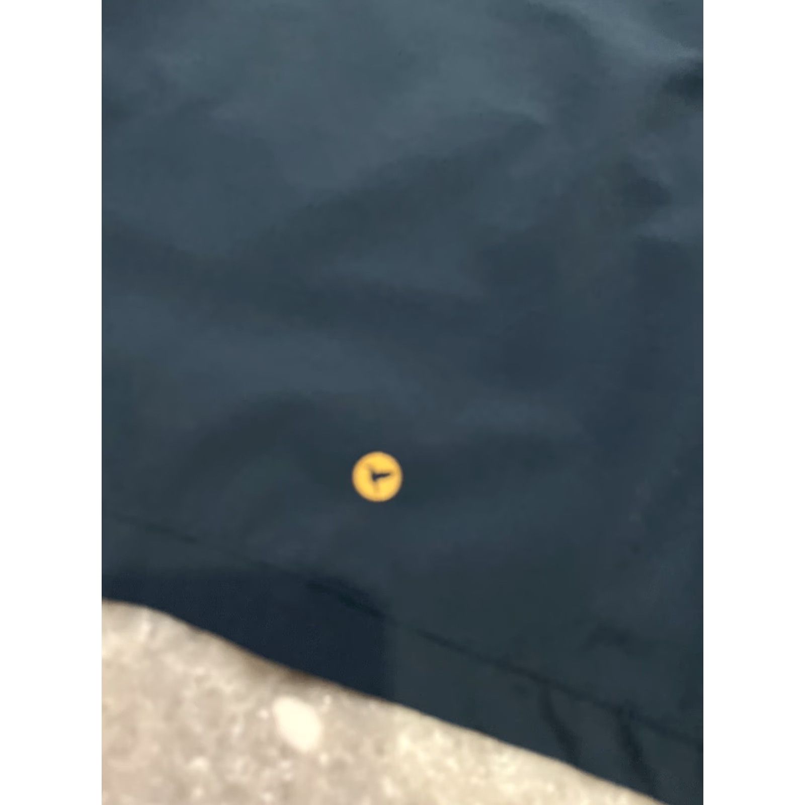 Vintage birddogs 8" Regular Gym Shorts blue parrot sz XXL - Men - Regular - Athletic - Parrothead - Lined Size US 39 - 5 Thumbnail