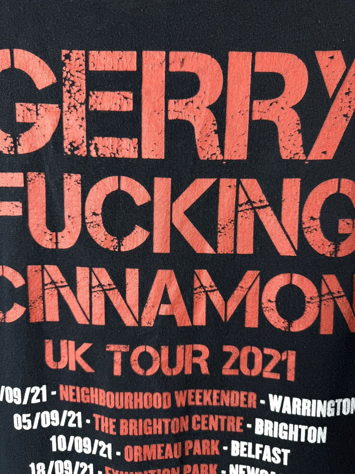 Band Tees Vintage Gerry Cinnamon Band Rock T Shirt Y2K Size US L / EU 52-54 / 3 - 6 Thumbnail